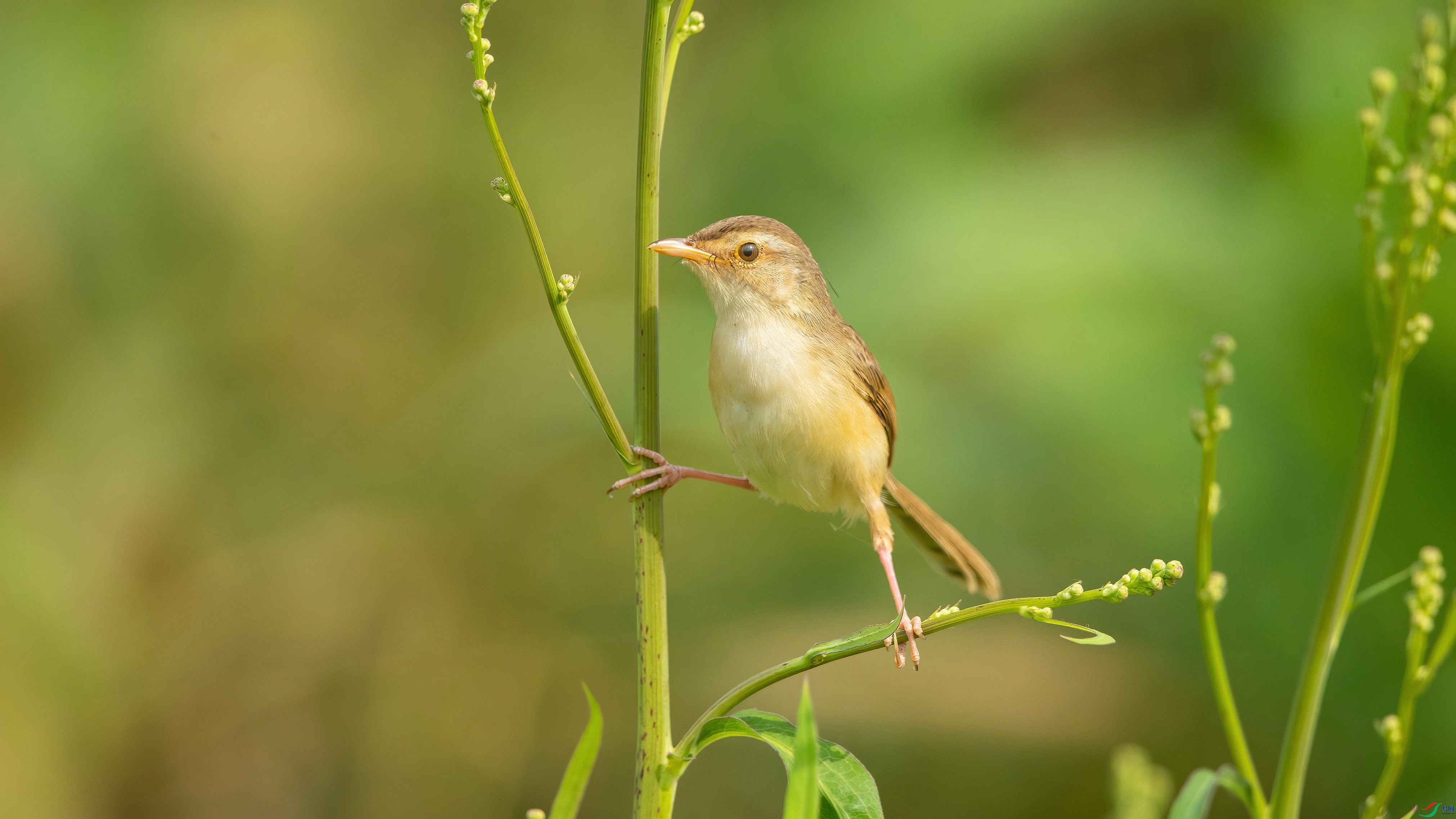 B89I6216.jpg