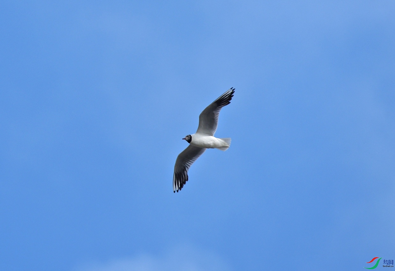 DSC_5751f.jpg