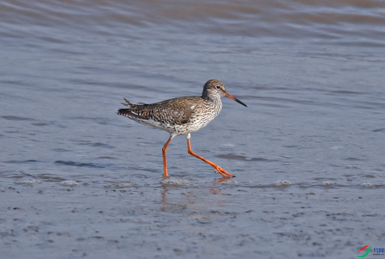 DSC_2215f.jpg