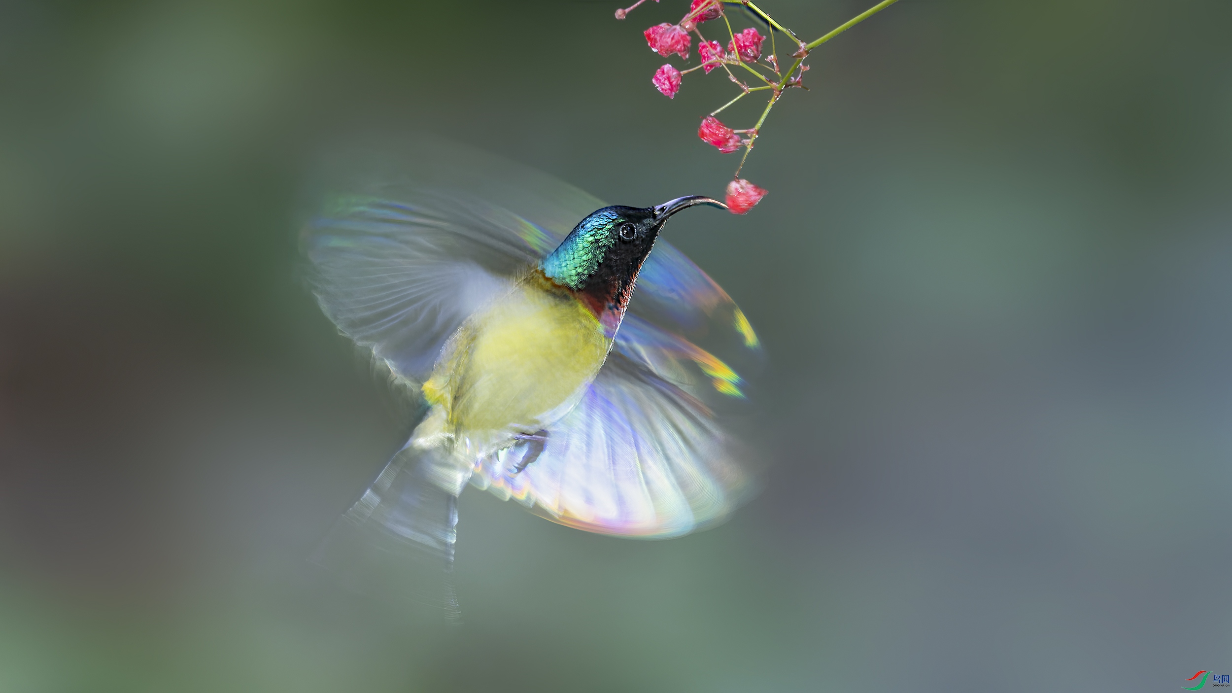 _DSC6495_DxO.jpg