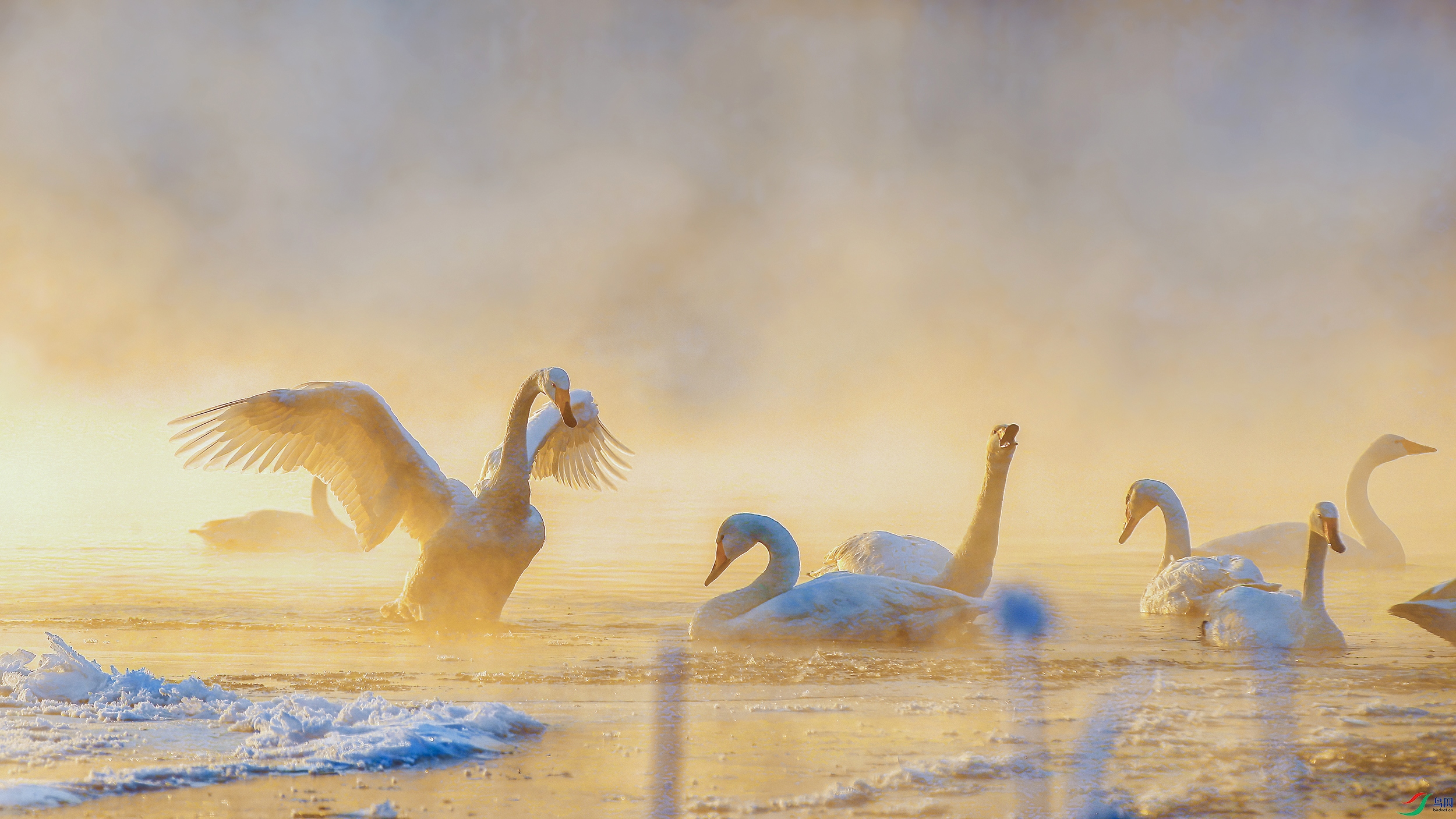 ��ԡ����