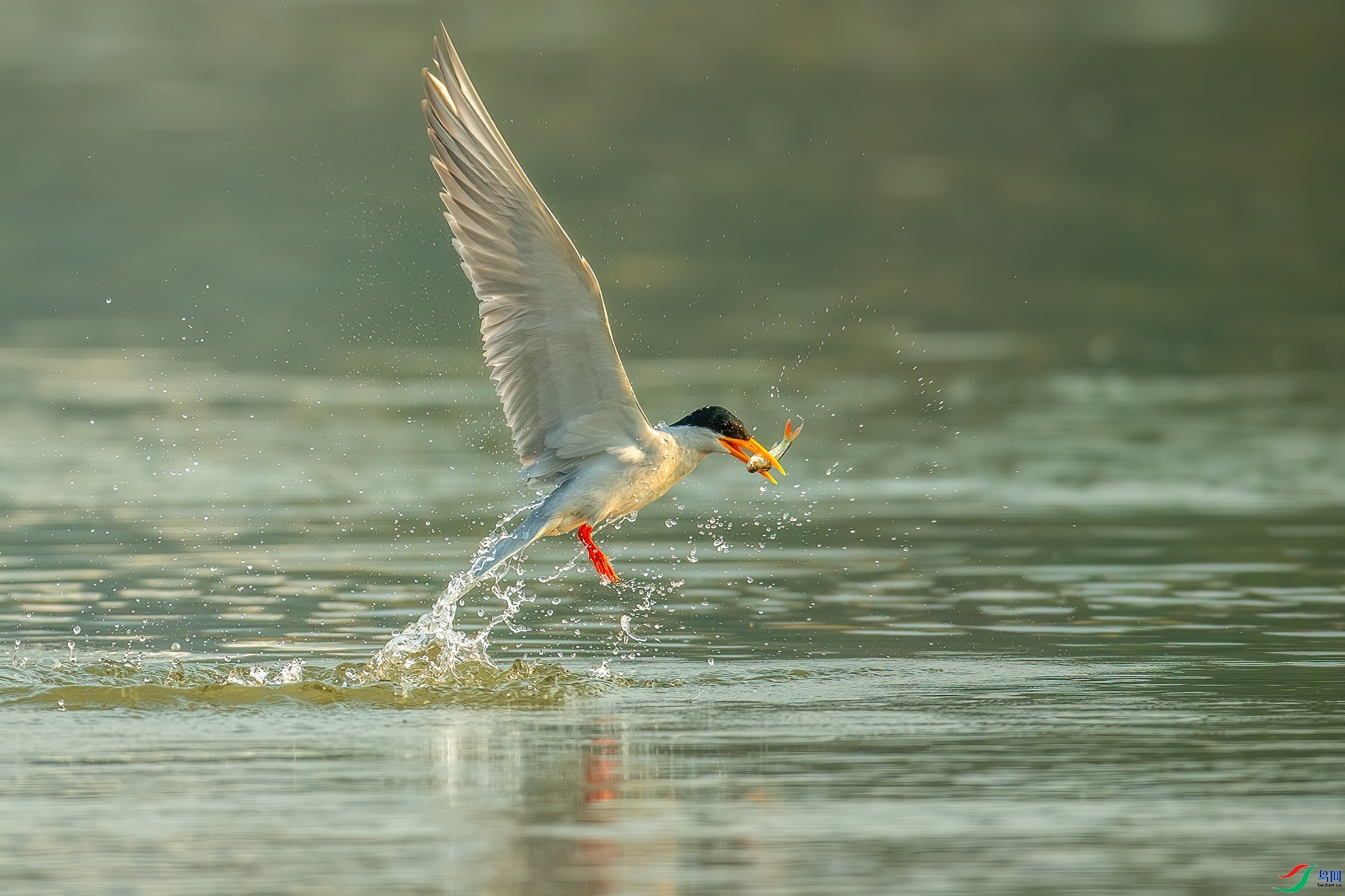 ÿ�ռ���  ������Ÿ���� ���� ��ѧ��  ����.jpg