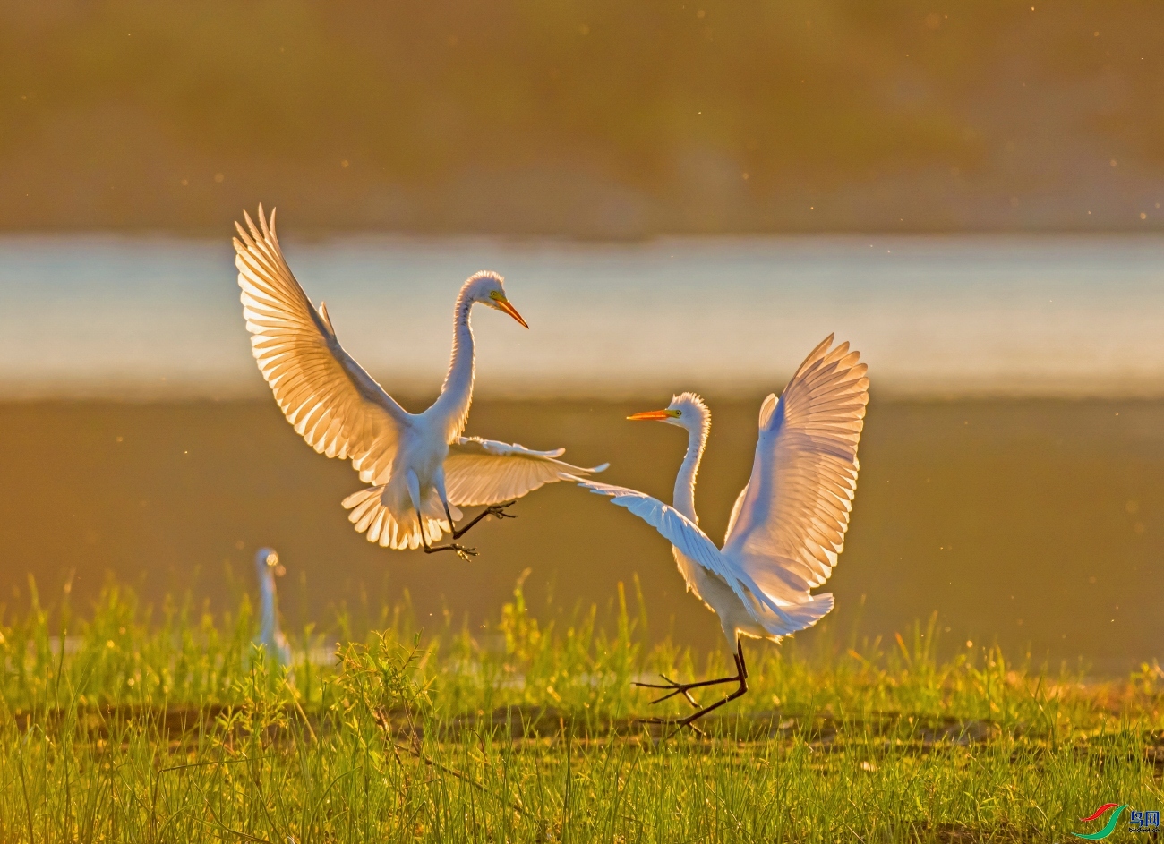 ÿ�ռ��� ���� ���� ������ǰ ����.jpg