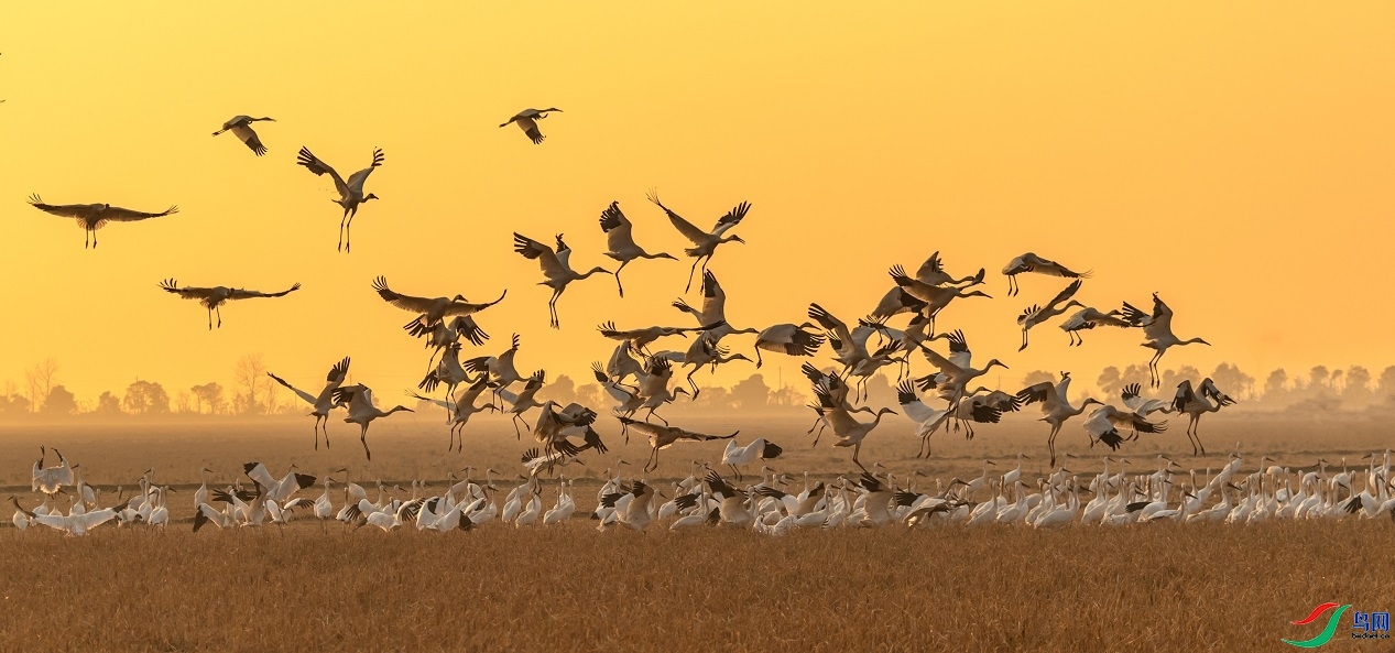 0182��¤������ʦ��Ʒ  ���ȿֺ�  �ٻ�2024��1��25��ÿ�ռ���.jpg