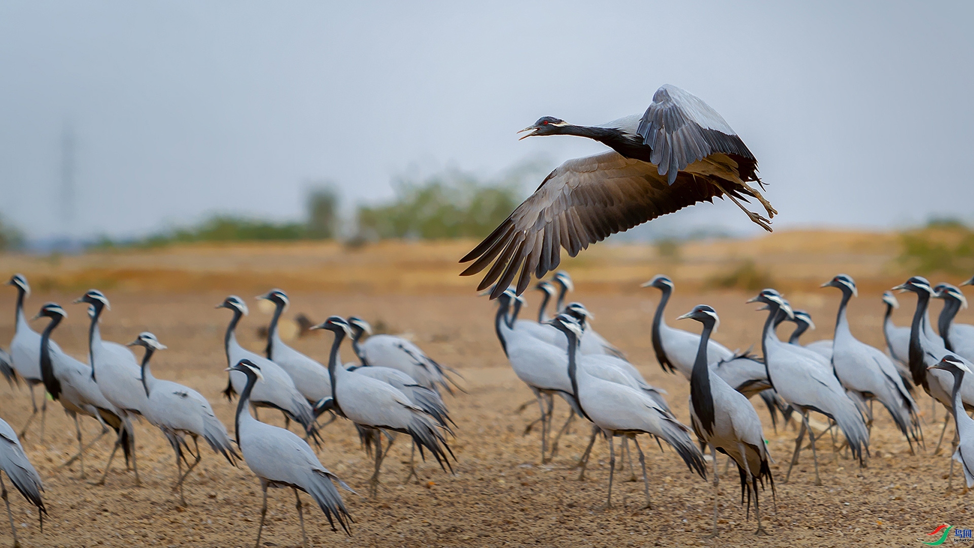 1.24 ׷������ʦ��Ʒ  �����  �ٻ�2024��1��24��������ҳ����.jpg