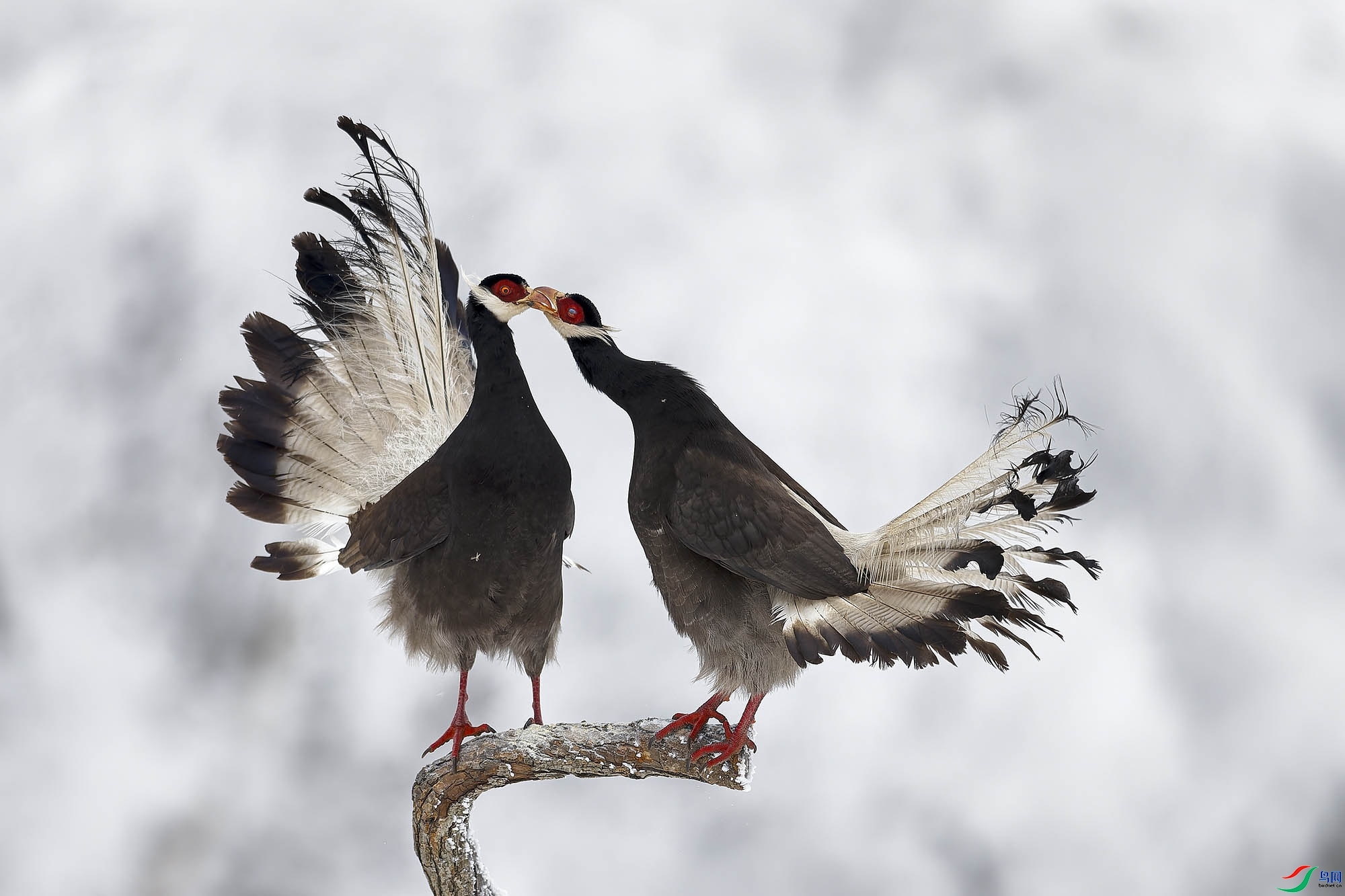 1.25 ���̲�����׺�����ʦ��Ʒ  ��˭��Ӳ  �ٻ�2024��1��25��������ҳ����.jpg