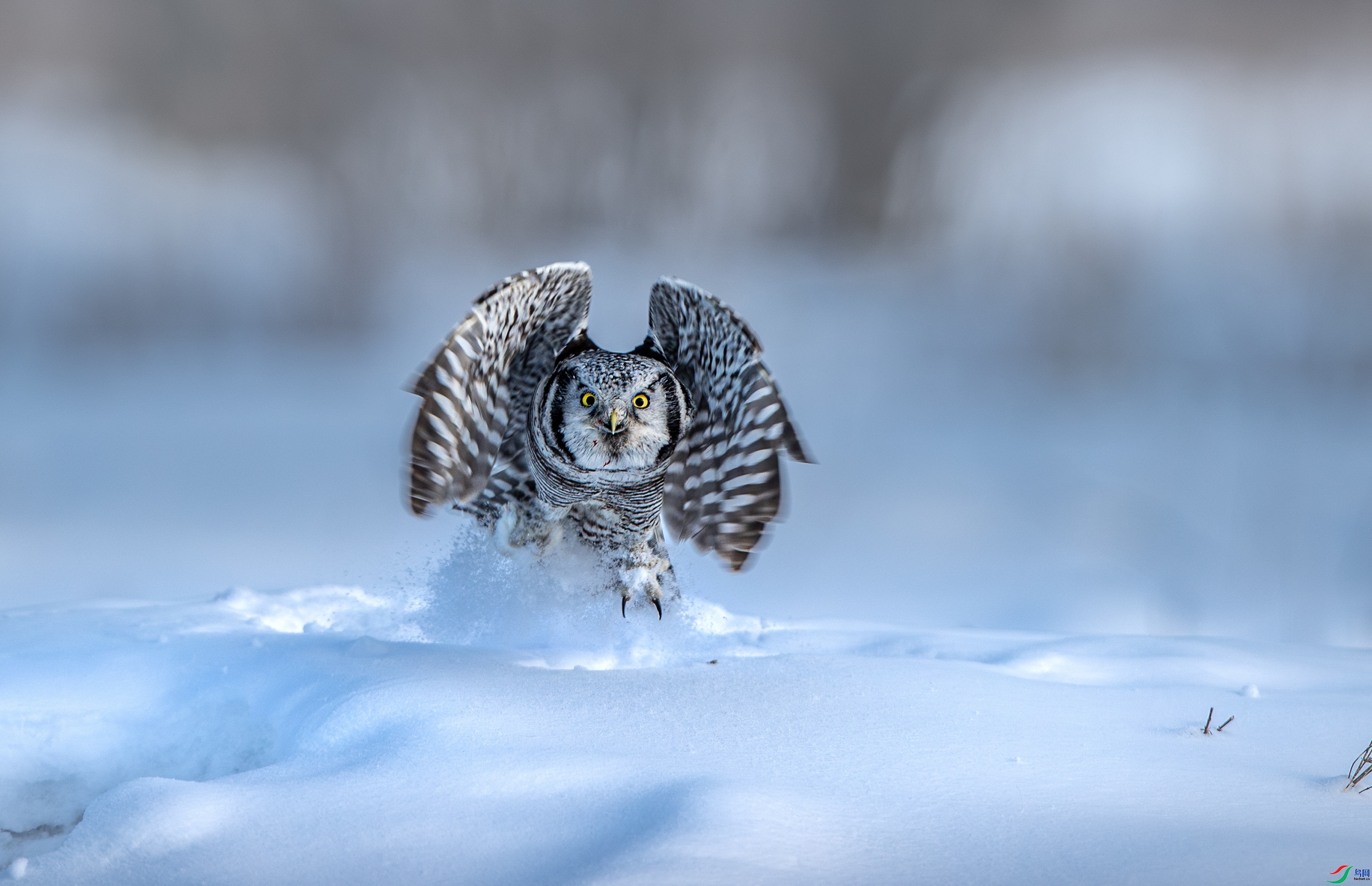 1.25 ��ñ213��ʦ��Ʒ  ����---���^  �ٻ�2024��1��25�հ�����ҳ����.jpg