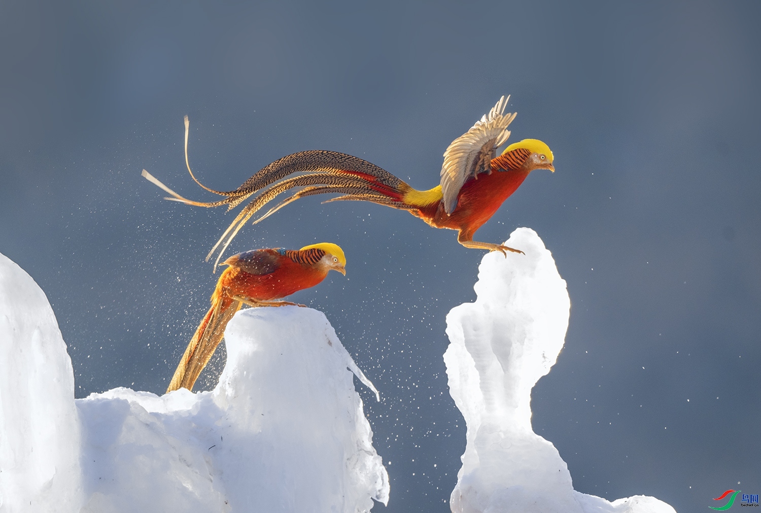 1.25 ����ǿ��ʦ��Ʒ  �������  �ٻ�2024��1��25�հ�����ҳ����.jpg