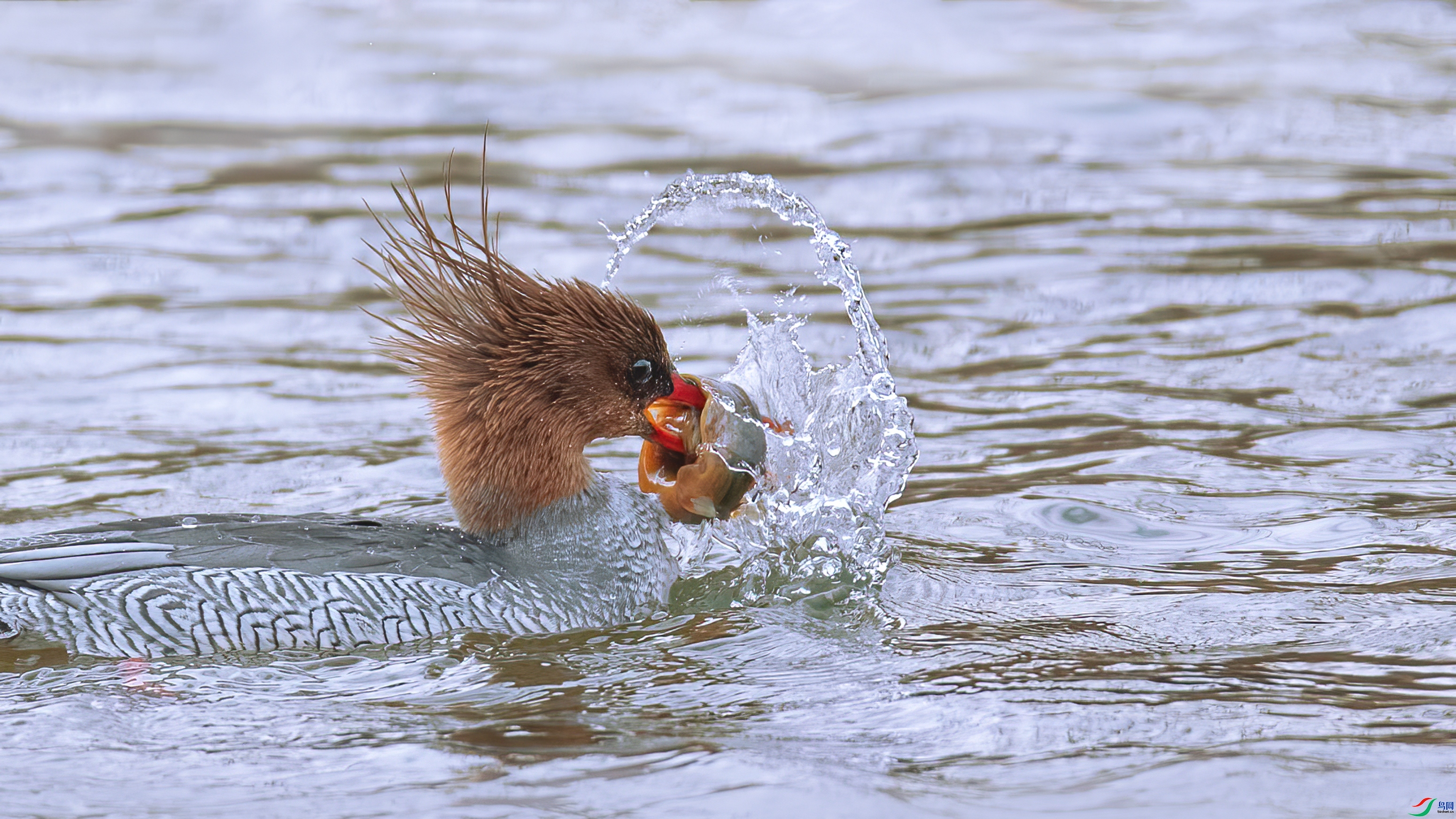 1.25 С������ʦ��Ʒ  �޼ƿ�ʩ  �ٻ�2025��1��25�հ�����ҳ����.jpg