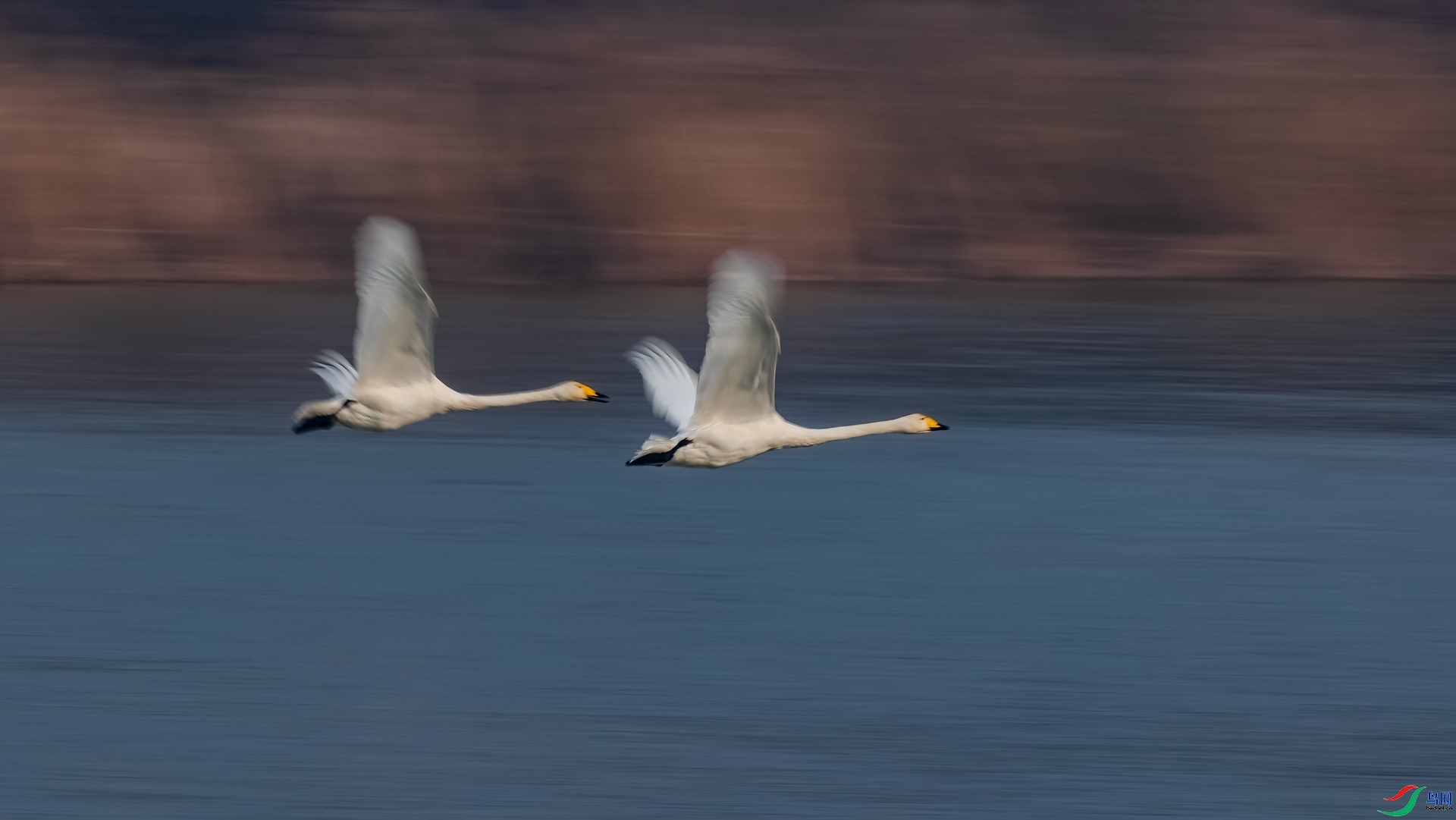 1.26 ��ʯɽ����ʦ��Ʒ  ���  �ٻ�2024��1��26��������ҳ����.jpg