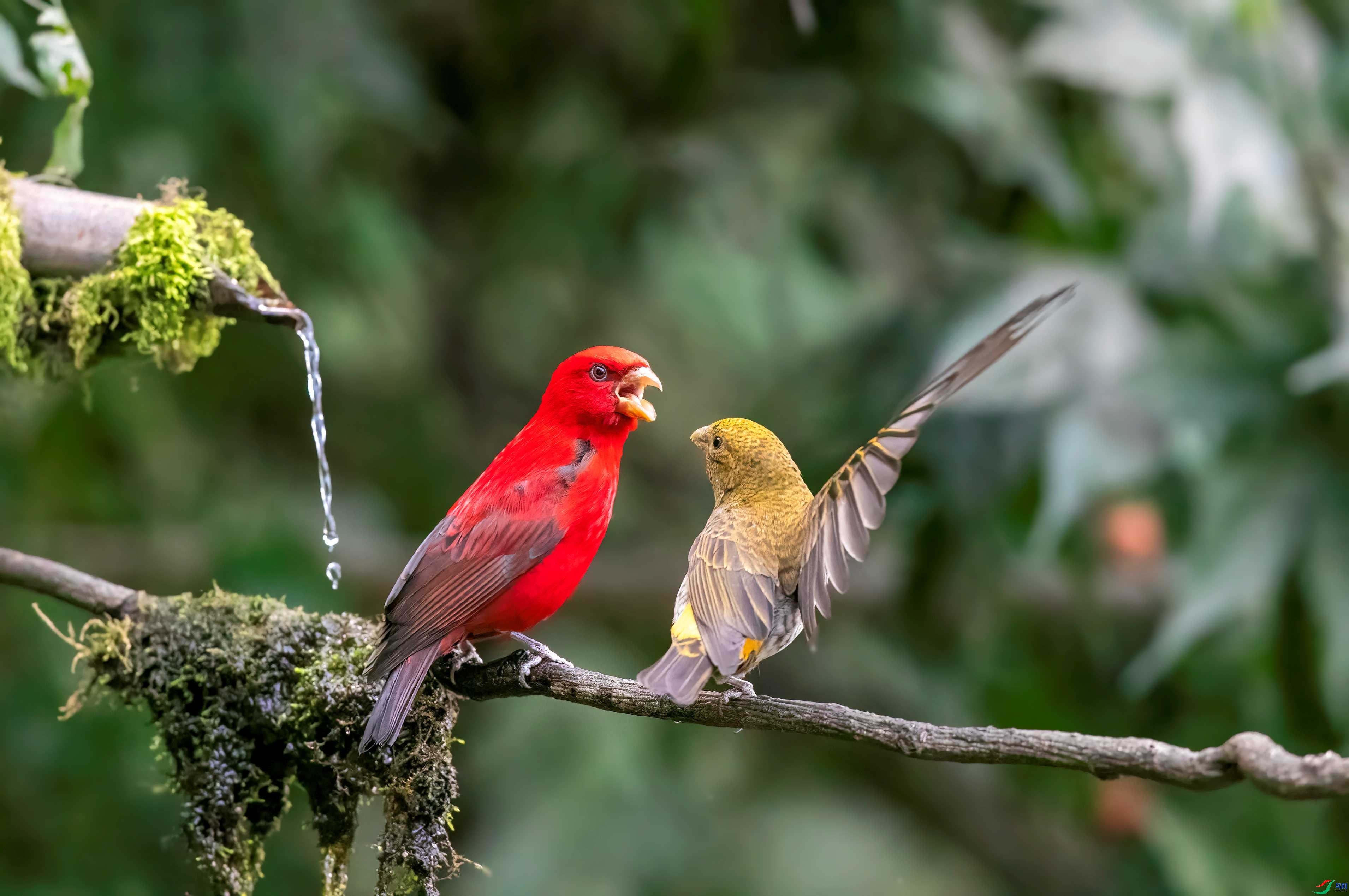 1.26 ���������ʦ��Ʒ Ѫȸ  �ٻ�2024��1��26�ջ�Ա��ҳ����.jpg