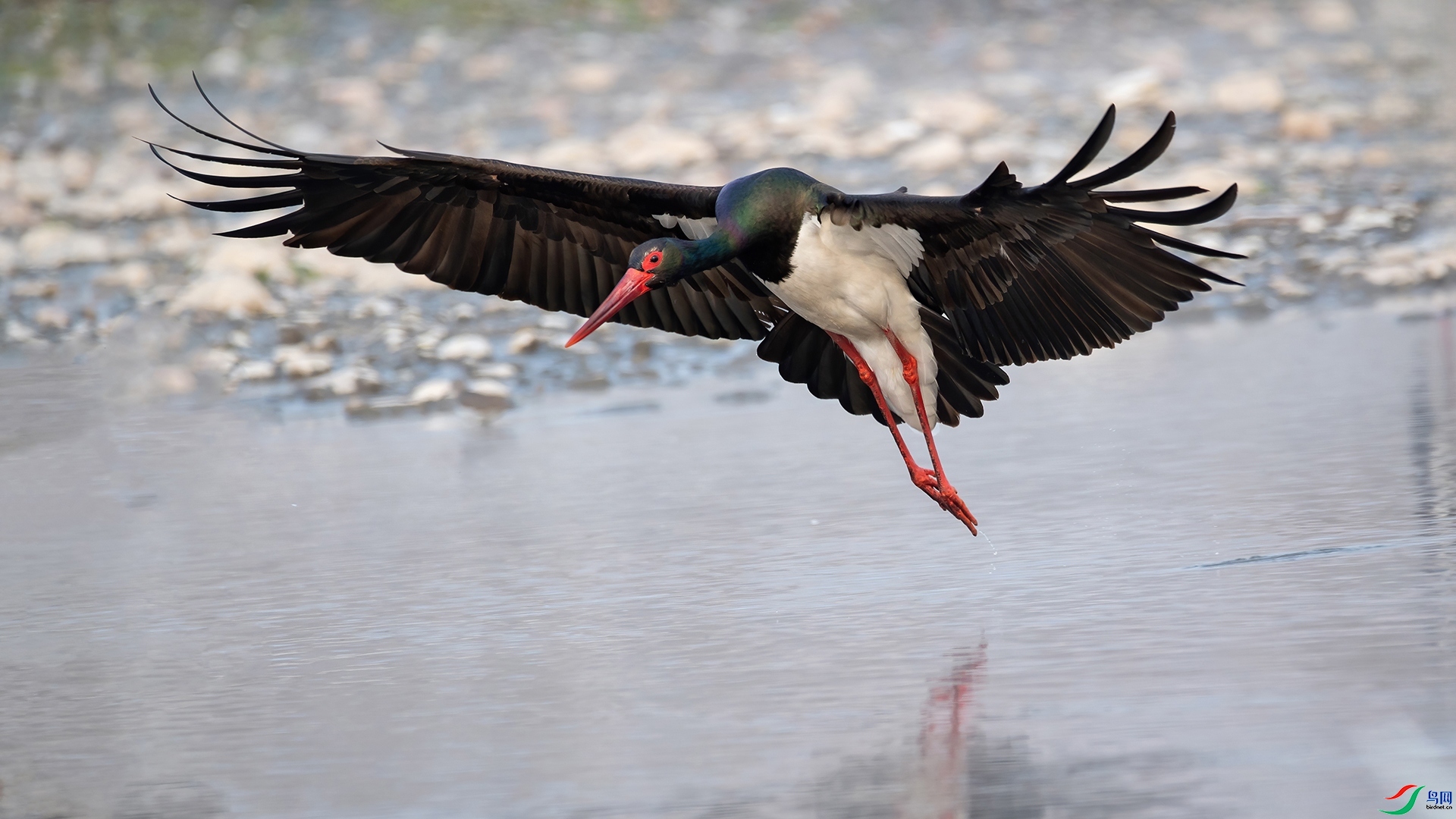 1.26 ɽ��ˮ����ʦ��Ʒ �������  �ٻ�2024��1��26�ջ�Ա��ҳ����.jpg