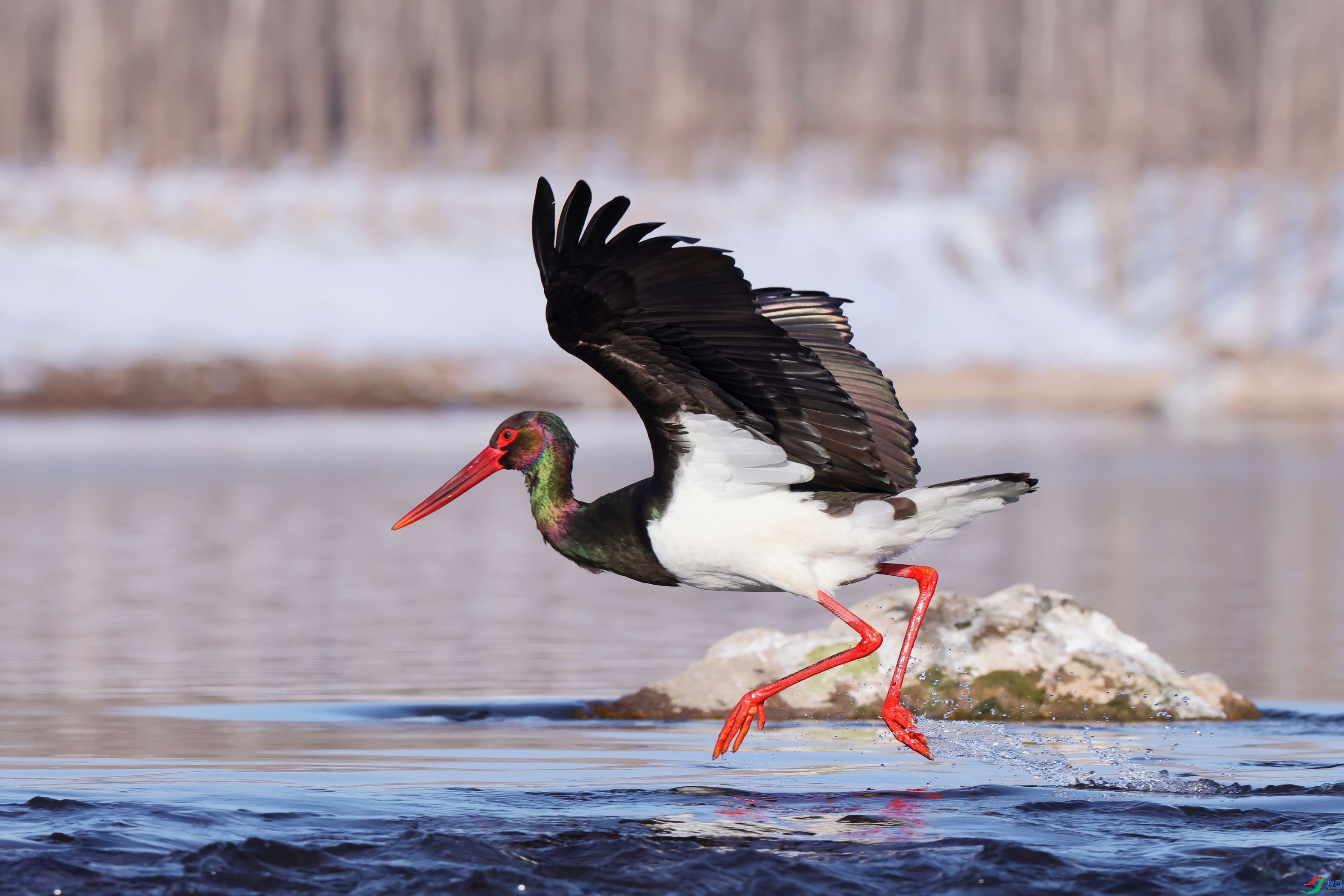 1.27 ��һƬ�����ʦ��Ʒ  ��ʰ�쵵ĺ���  �ٻ�2024��1��27�ջ�Ա��ҳ����.jpg