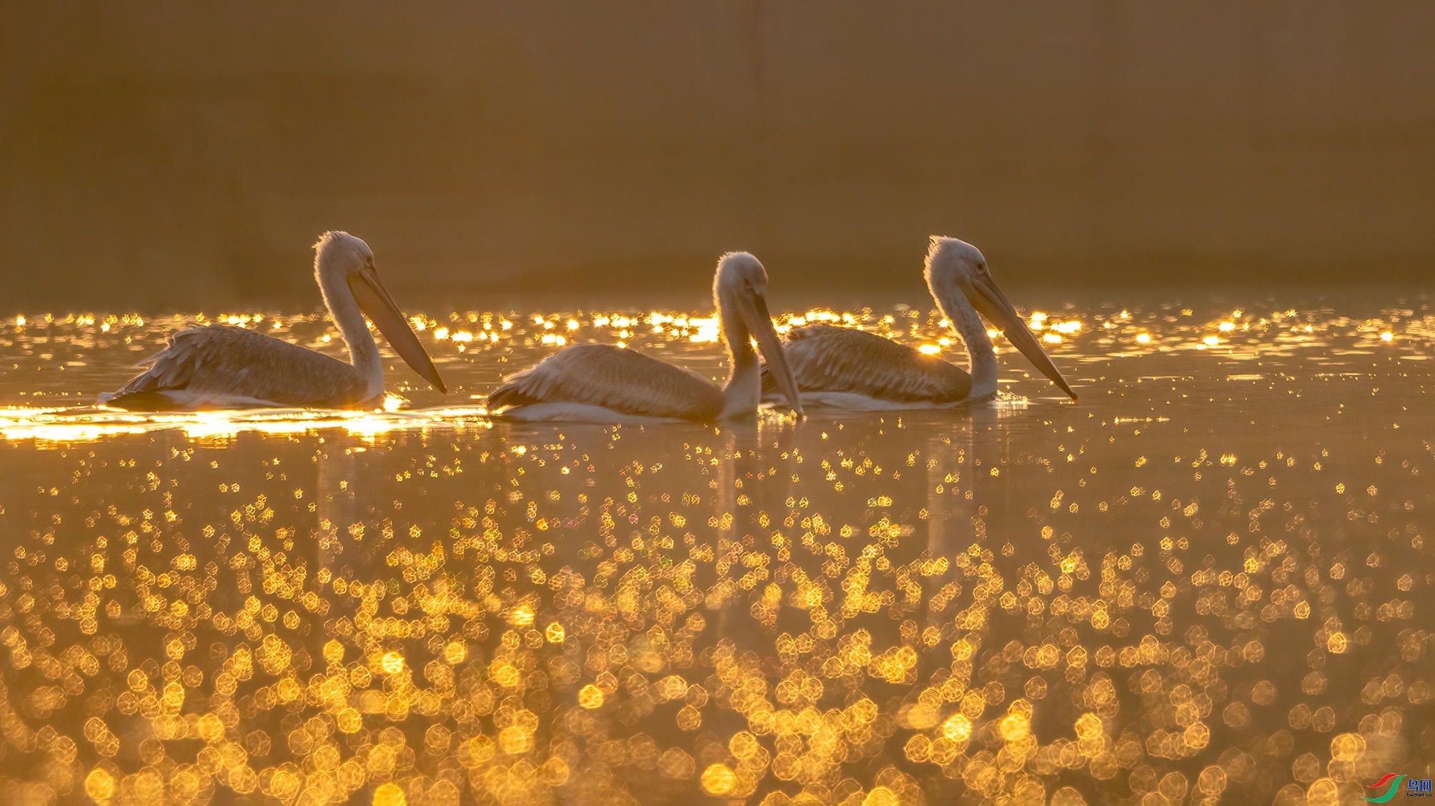 1.27 ����������ʦ��Ʒ  ����  �ٻ�2024��1��27�ջ�Ա��ҳ����.jpg