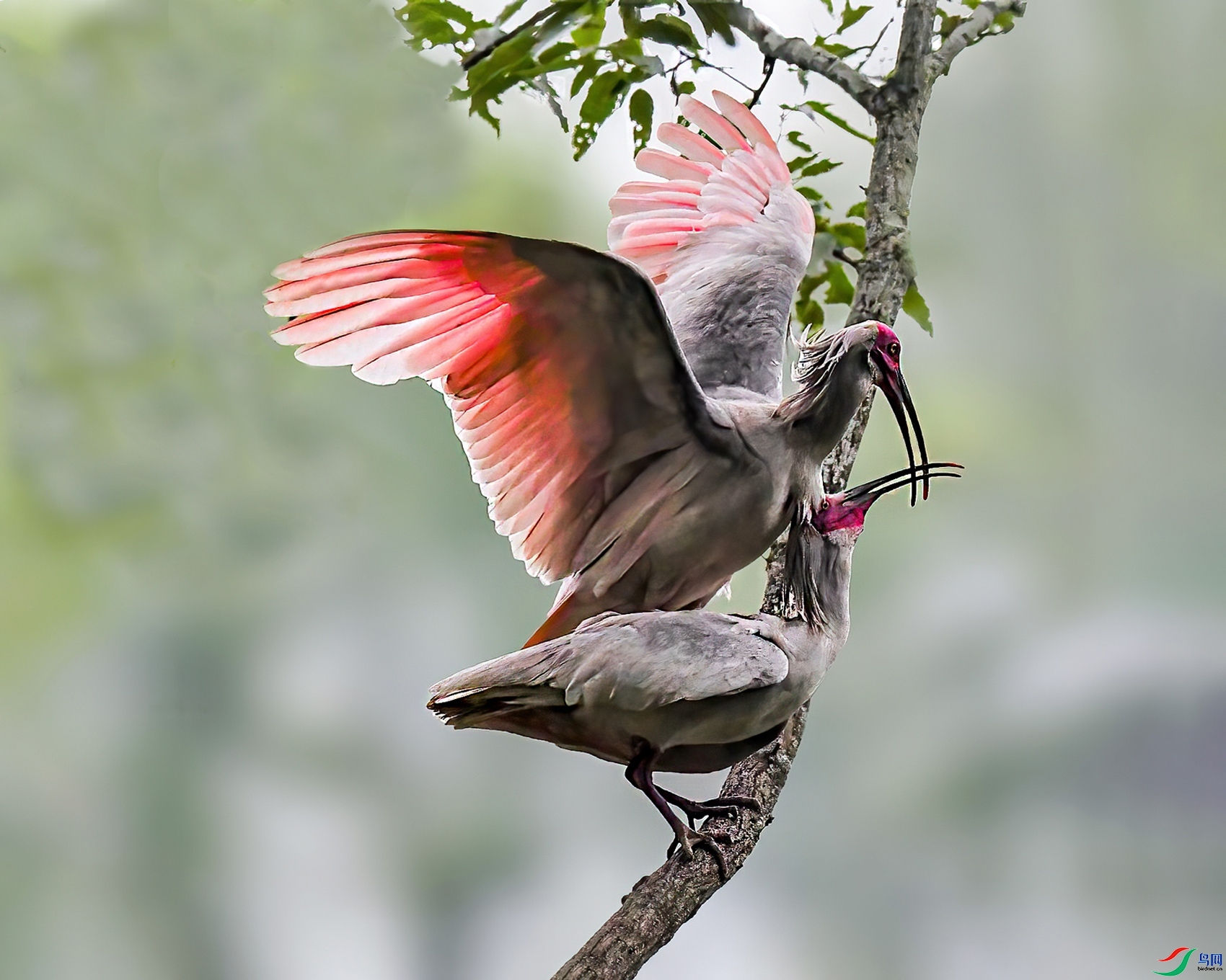 �Ҹ�ʱ�� ���� �ܴ�99   �ܶ�.jpg