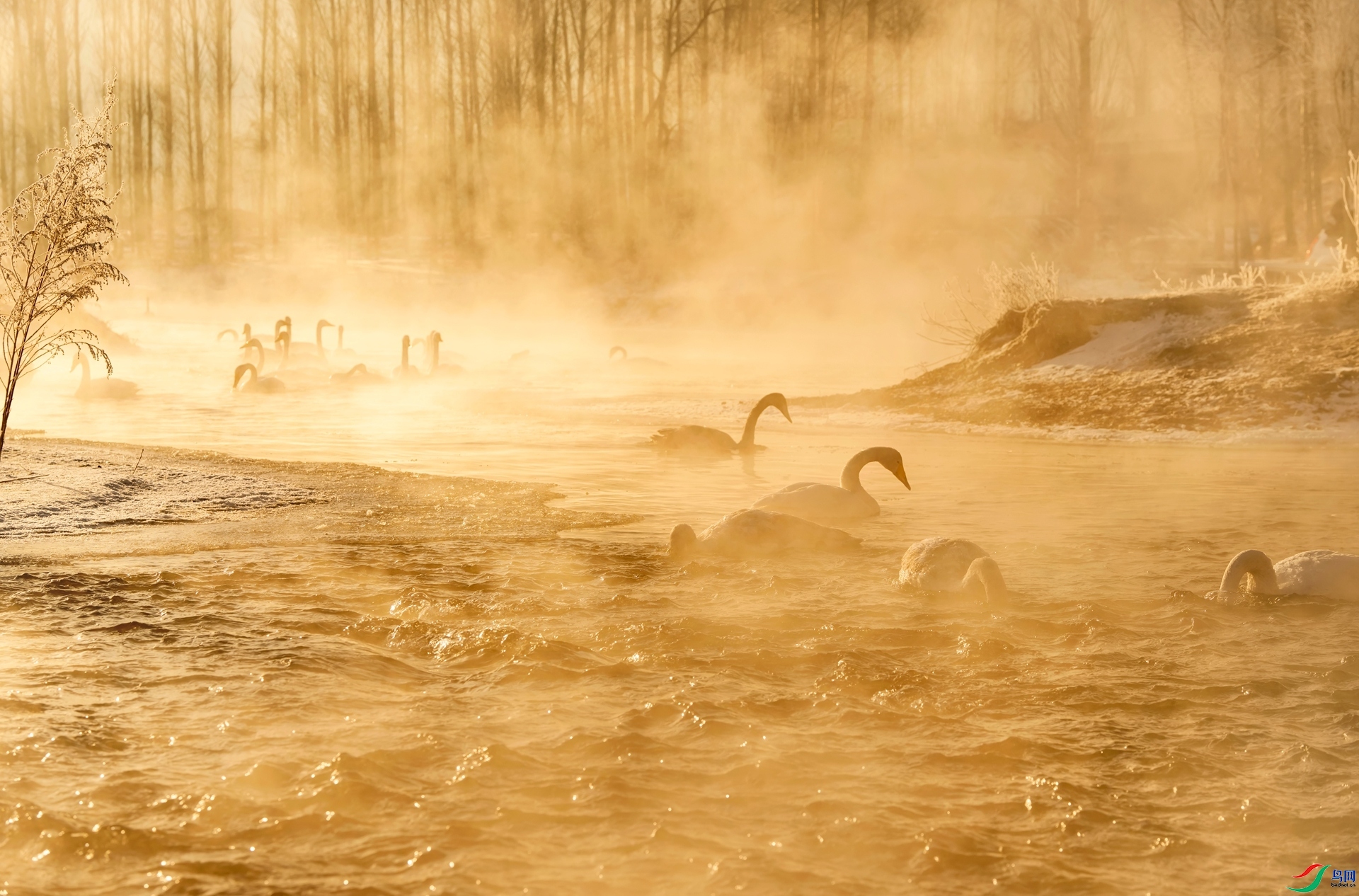 ���� ���� �ϫ �ܶ�.jpg