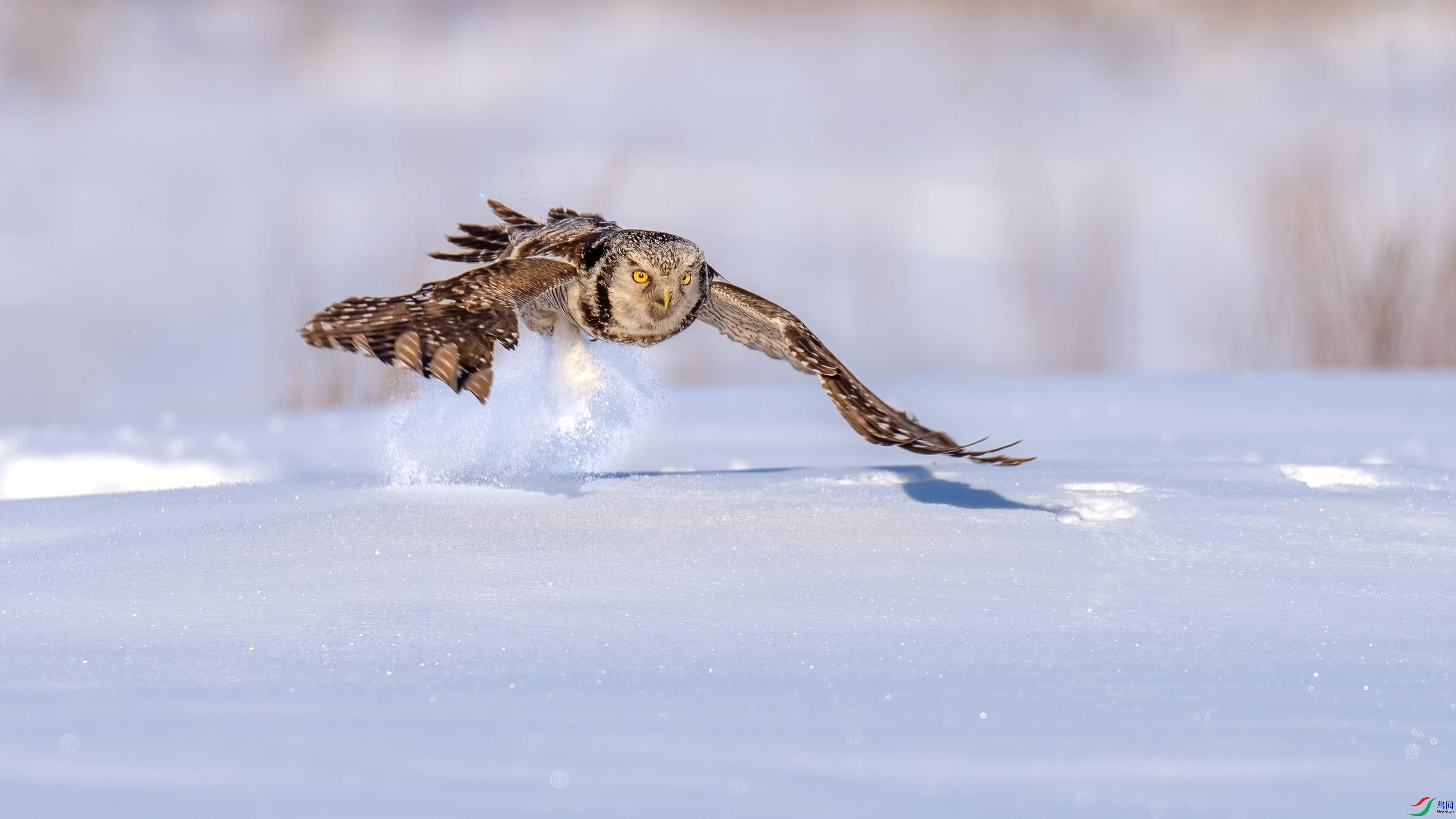 ���� ���� ���� ����.jpg