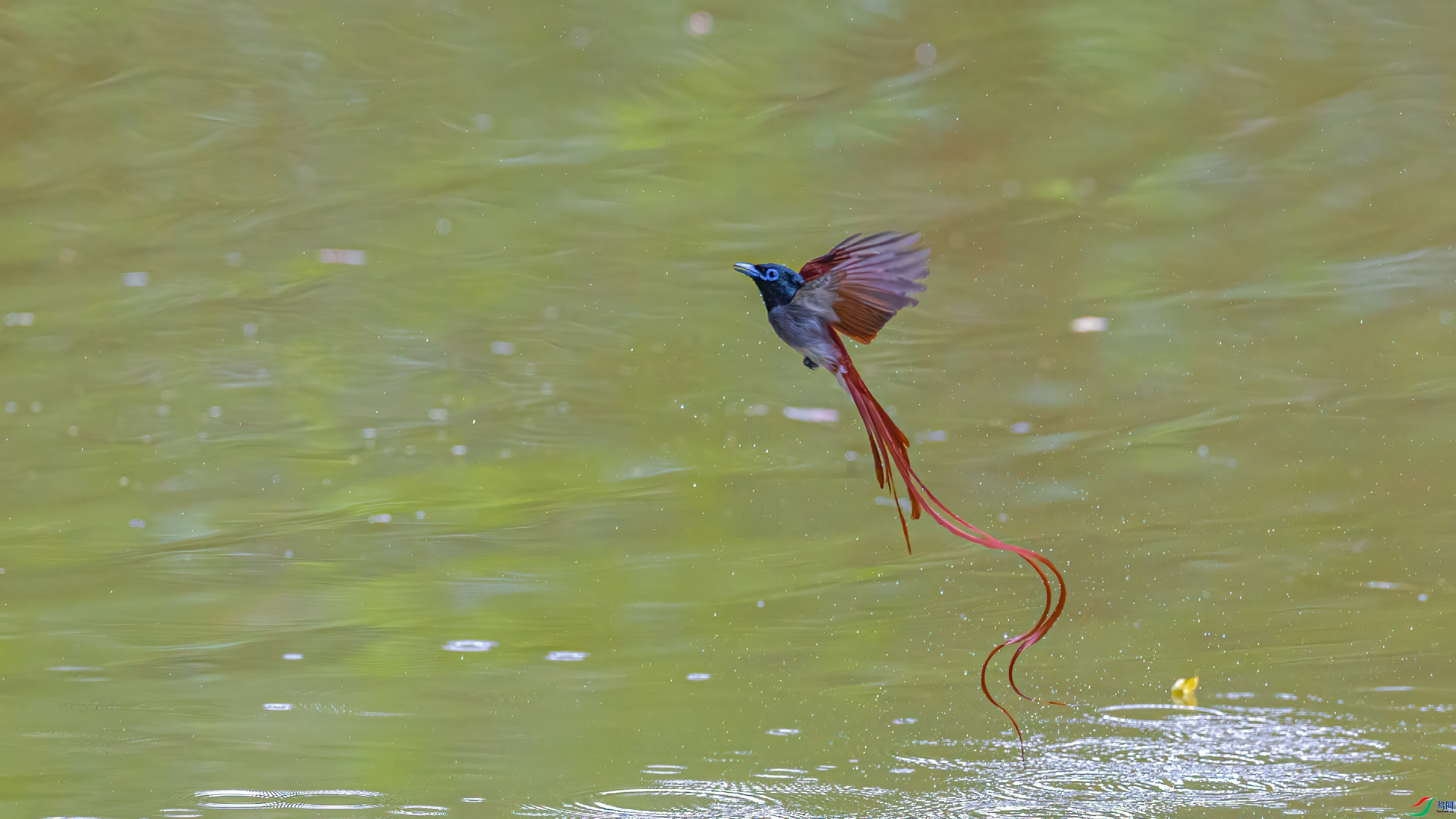 ��ˮ ���� �䱾���� ����.jpg