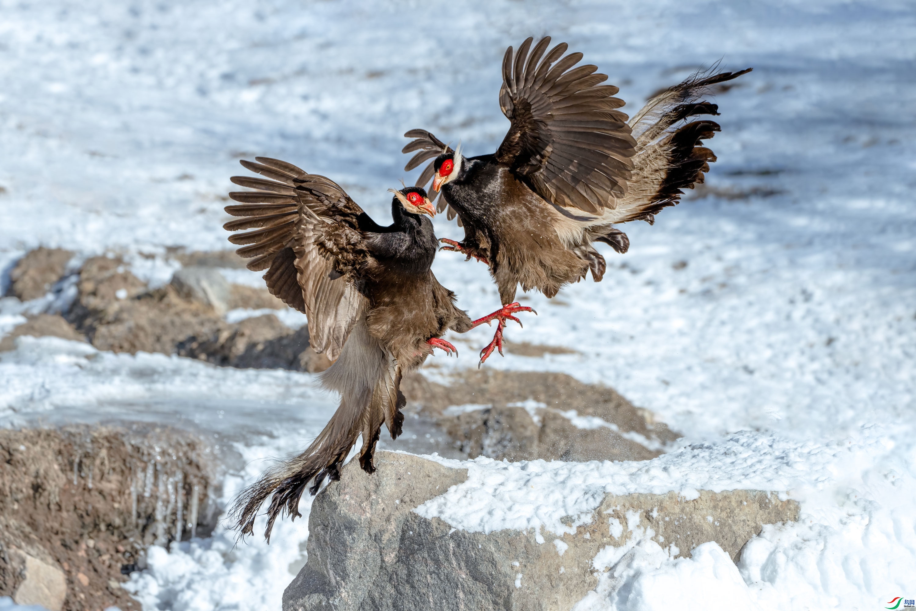 ����--������ ���� ���� ����.jpg