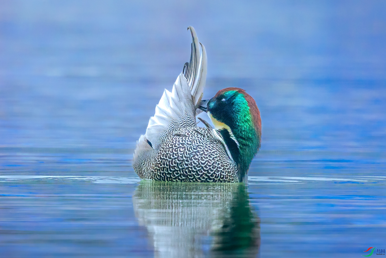 ����Ѽ1M5A0160.jpg