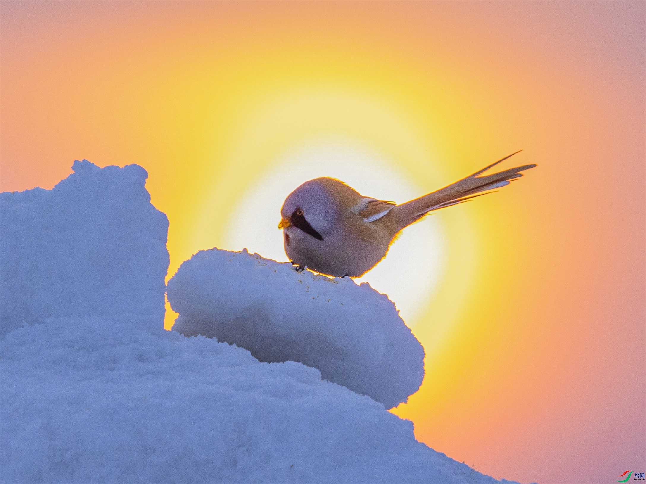 1K3A5147 ����1.jpg