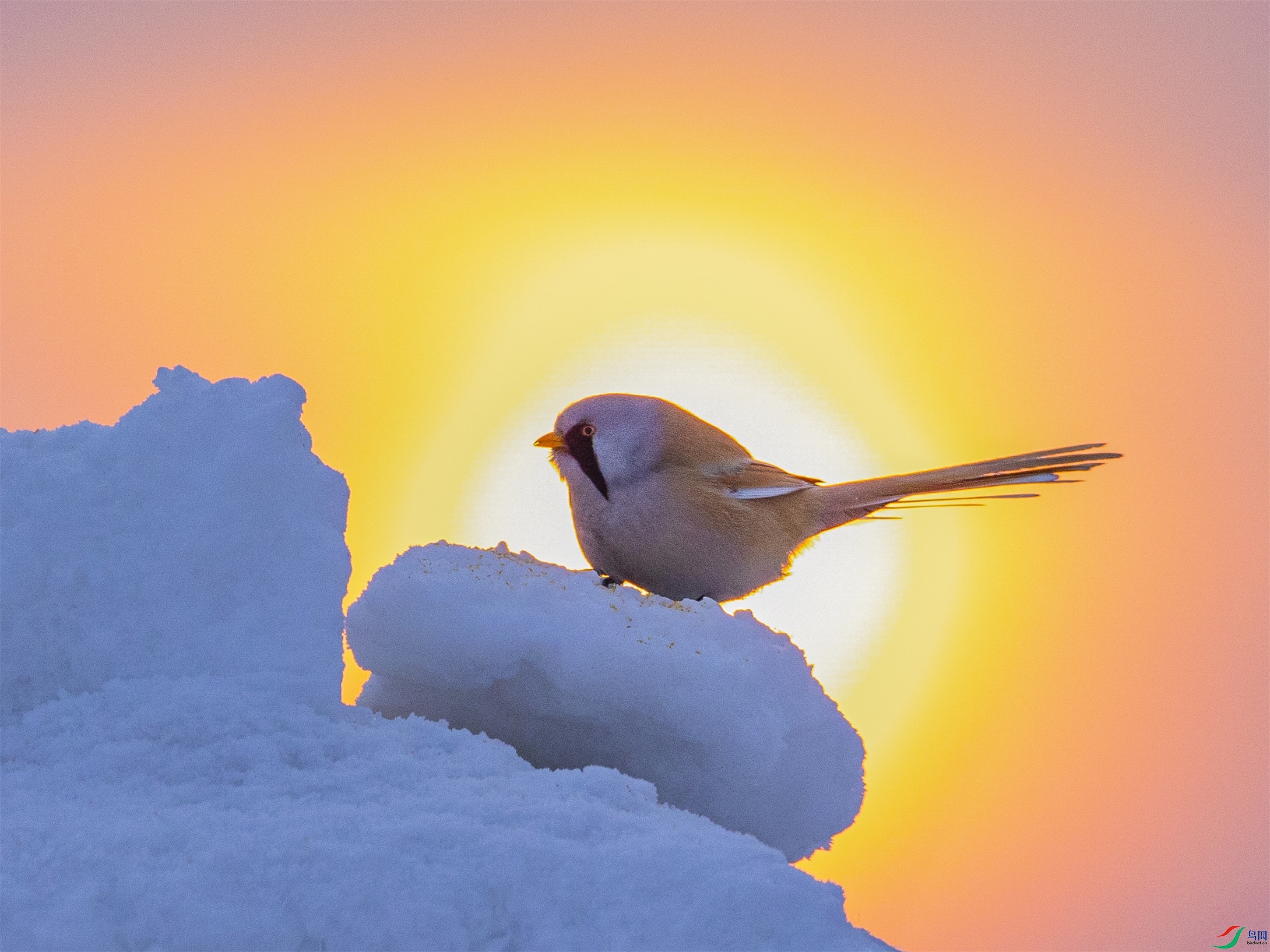 1K3A5150 ����1.jpg