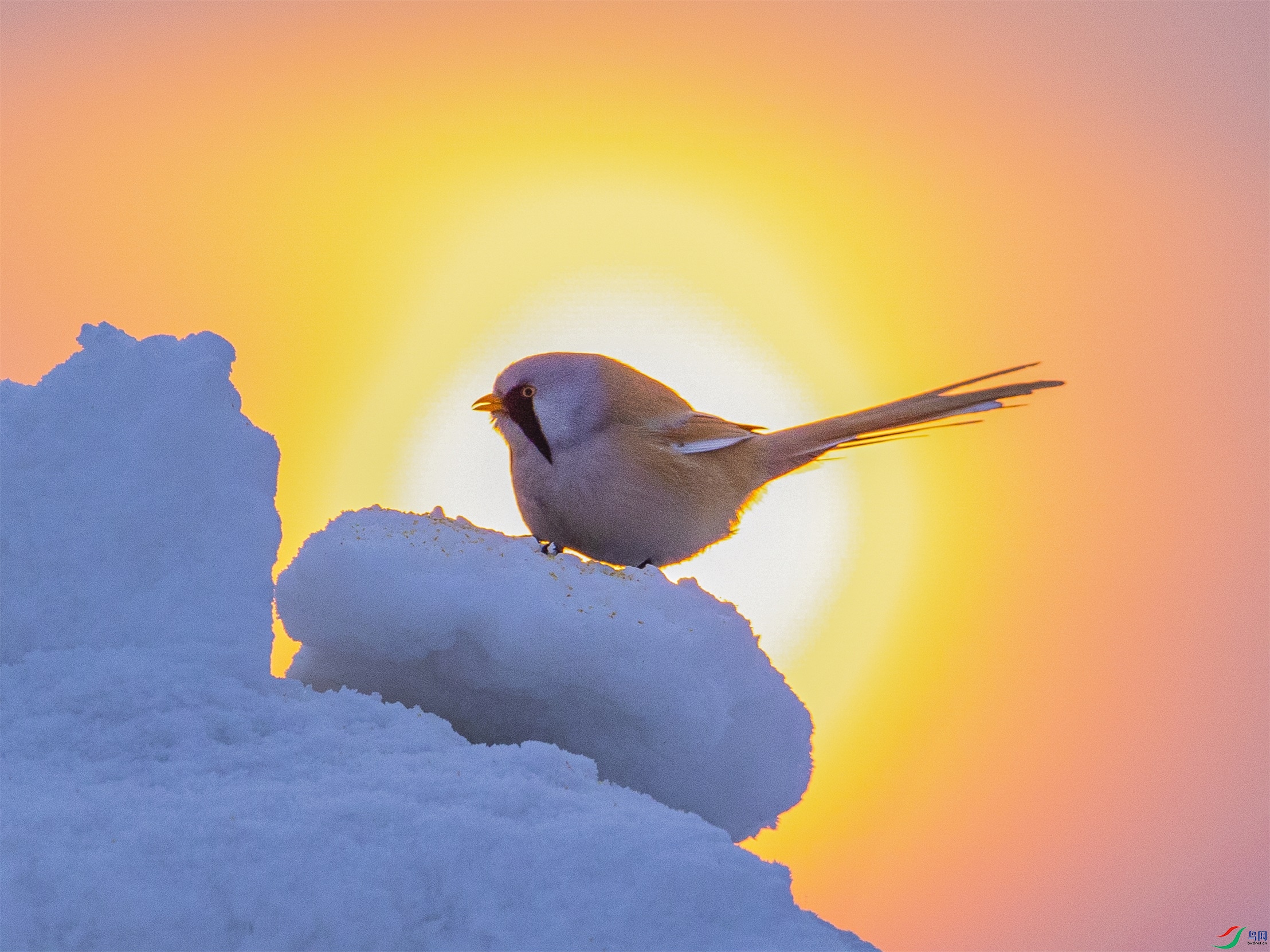 1K3A5148 ����1.jpg