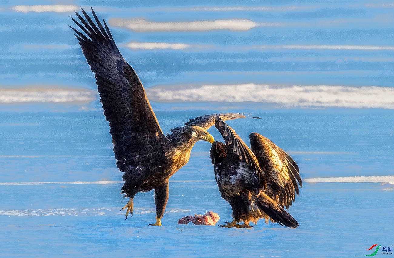 ��β����----�����ҵ�����