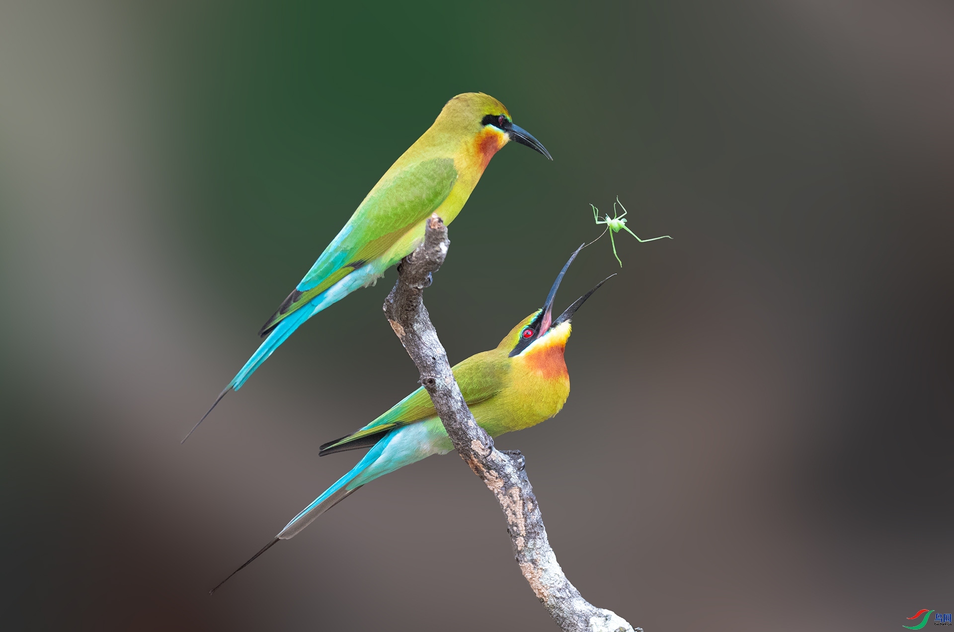 Ϸ��  ���� �������� ����.jpg