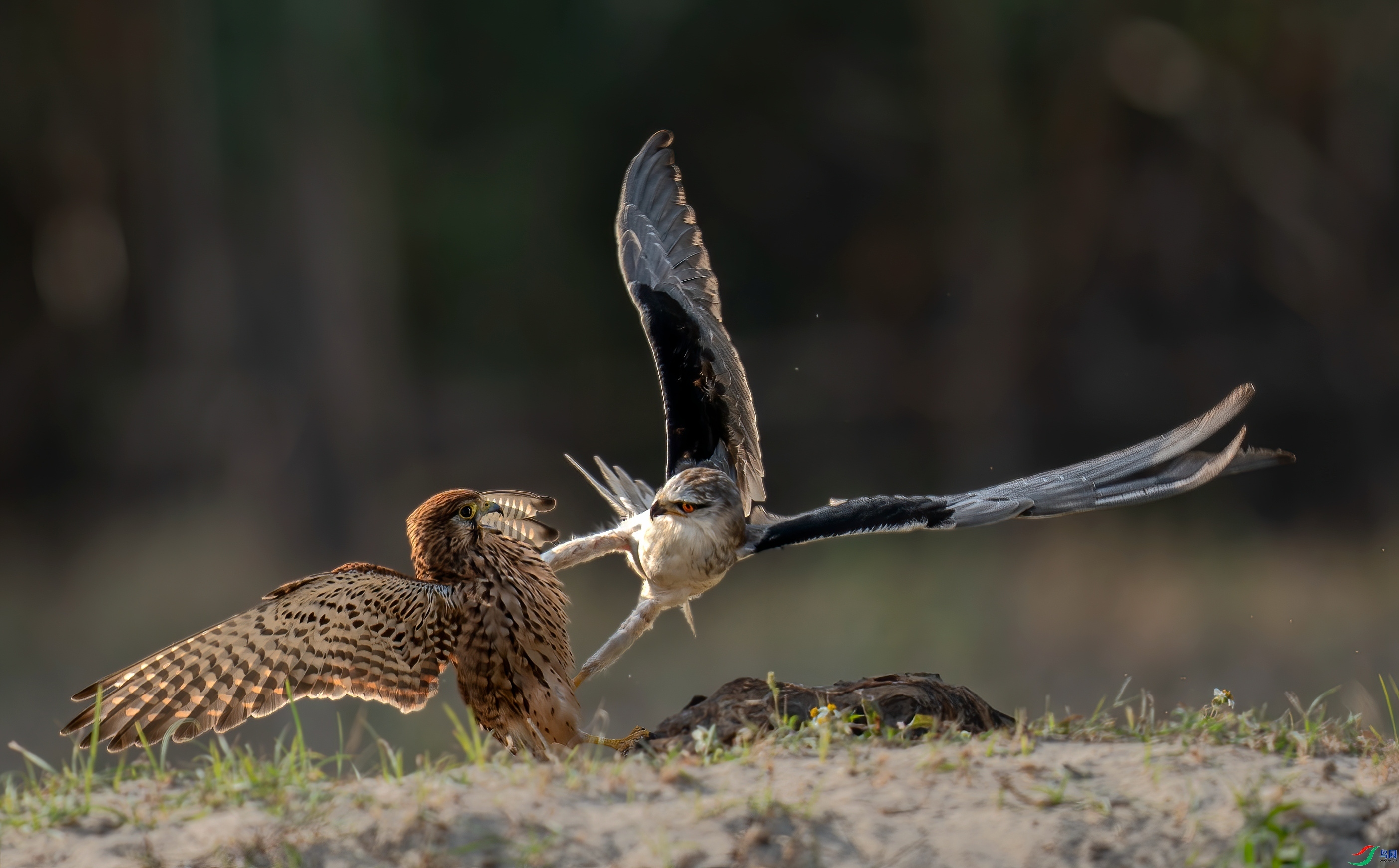 ǿ������ ���� ���� ����.jpg