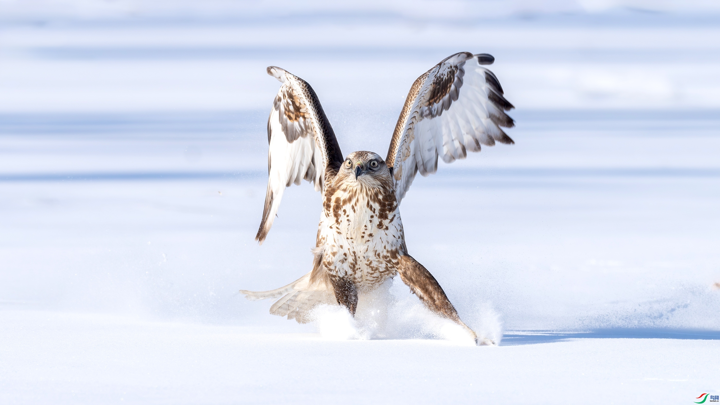 ��ɲ�� ���� ������  ����.jpg