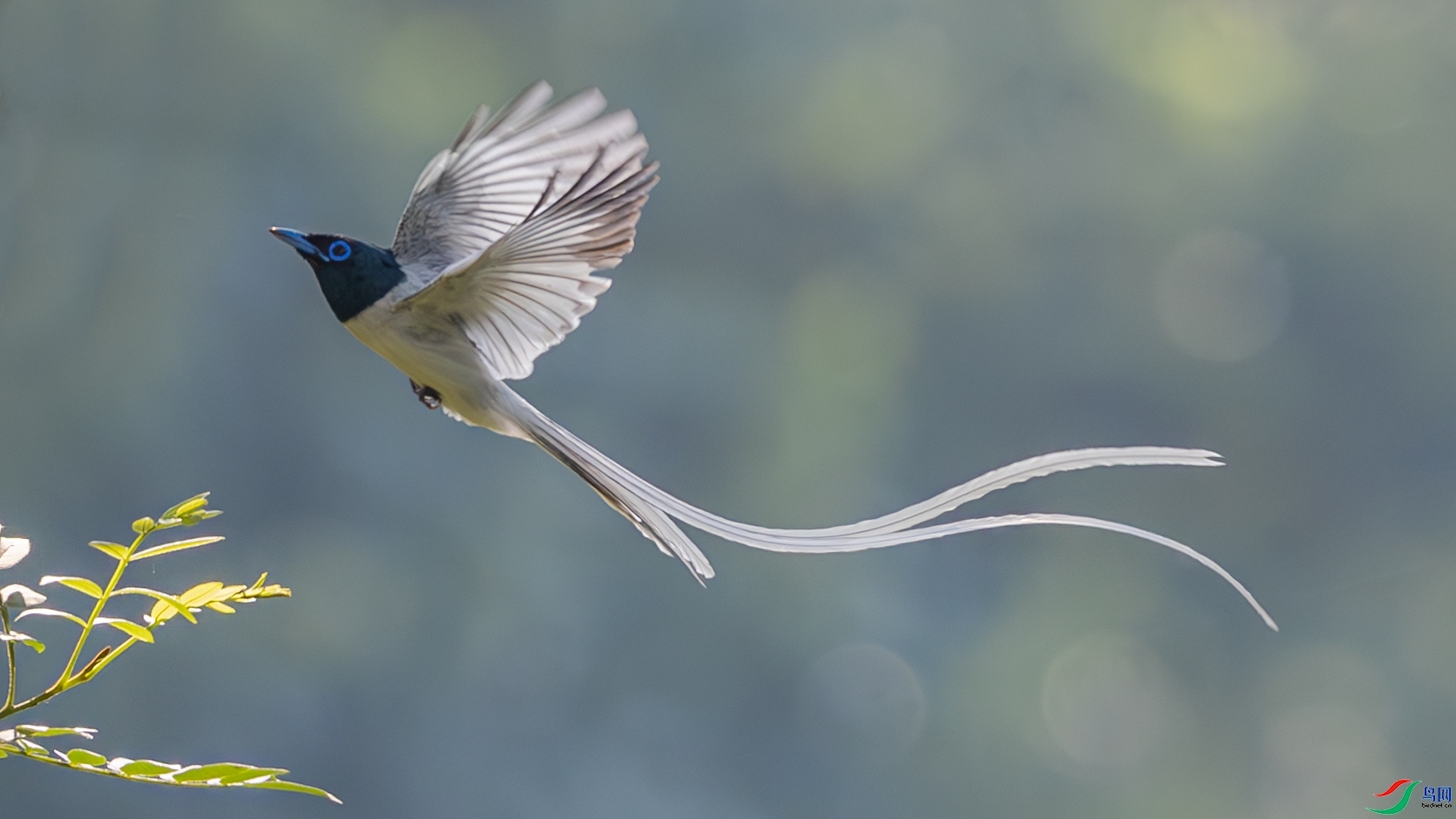 Ʈ��  ���� �䱾���� ����.jpg