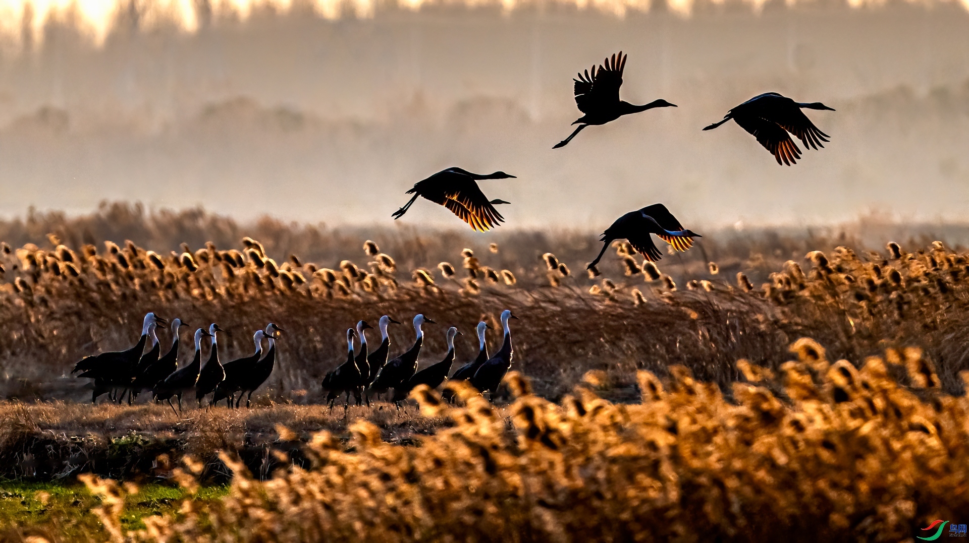 �������� ���� ���� ��һ.jpg