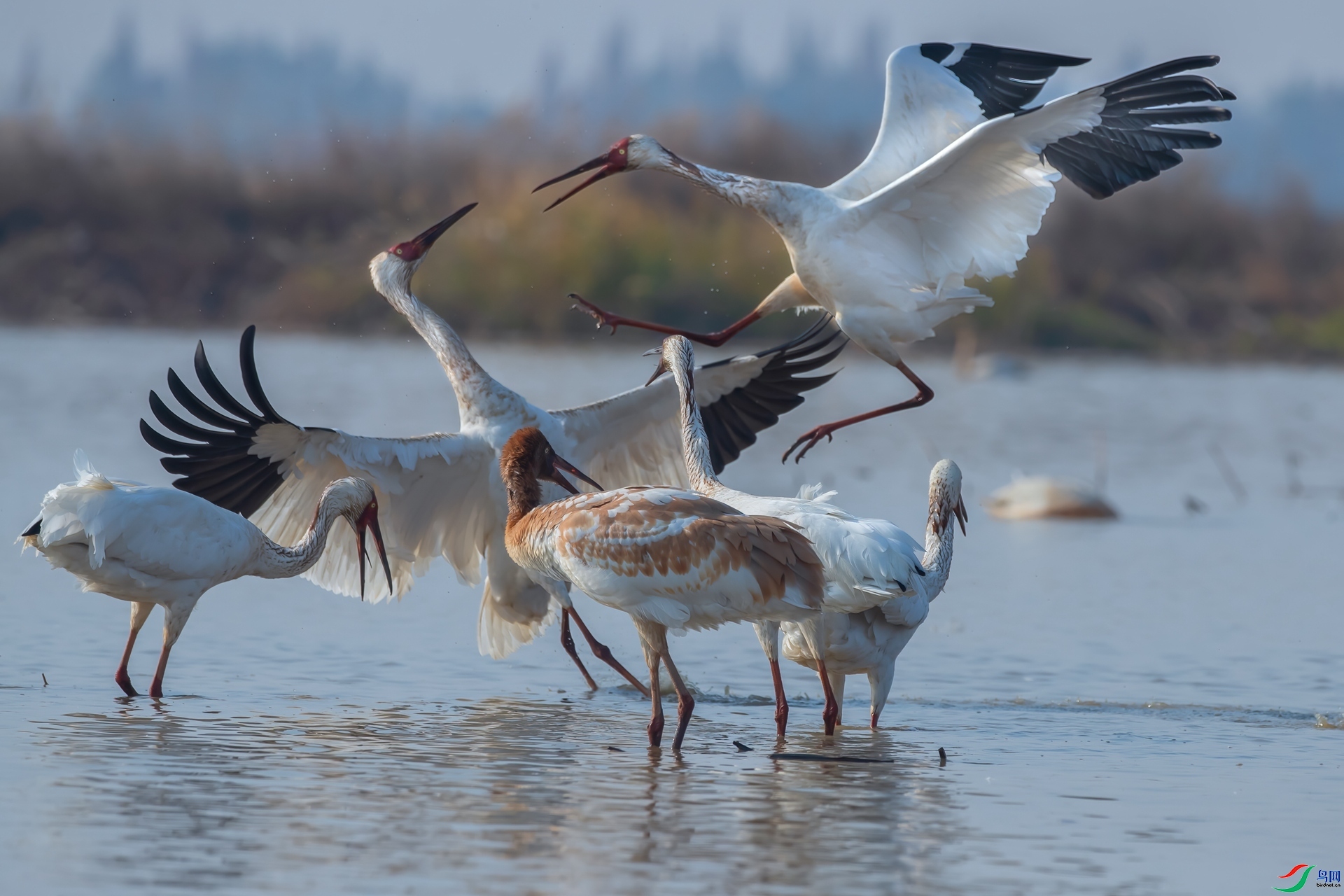 ��������� ���� ��ͽ ����.jpg