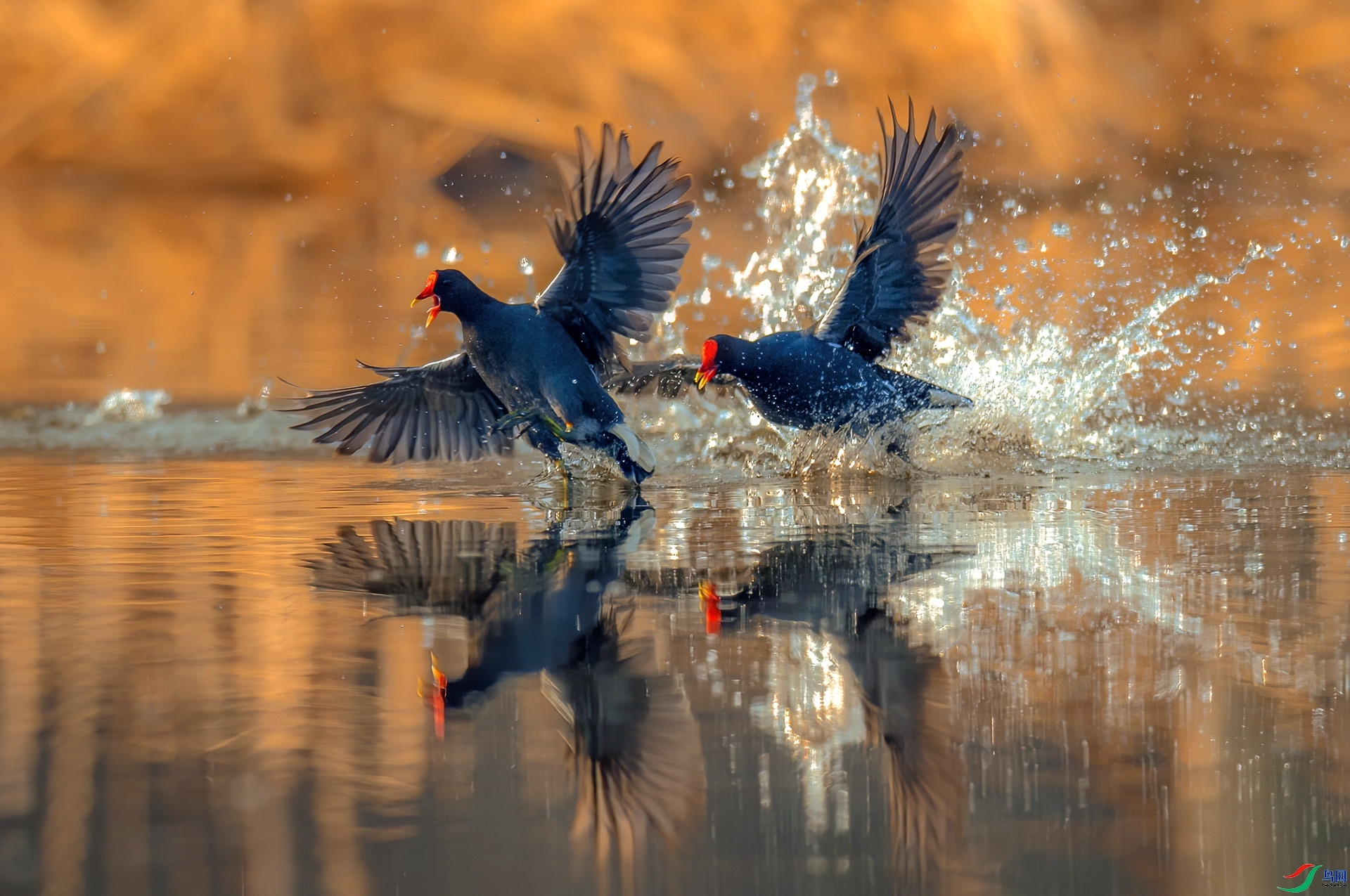 ׷�� ���� �������� ����.jpg