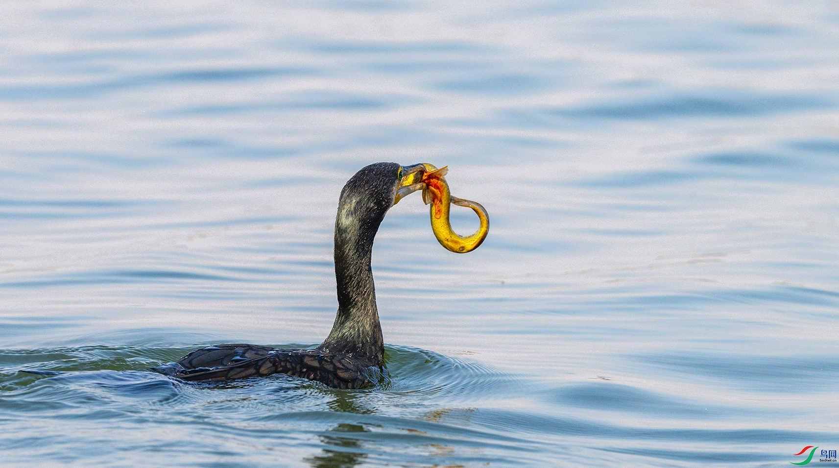 2347 ����.jpg