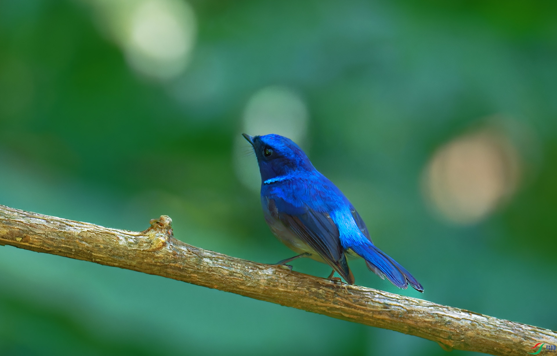 DSC_4280-1.jpg