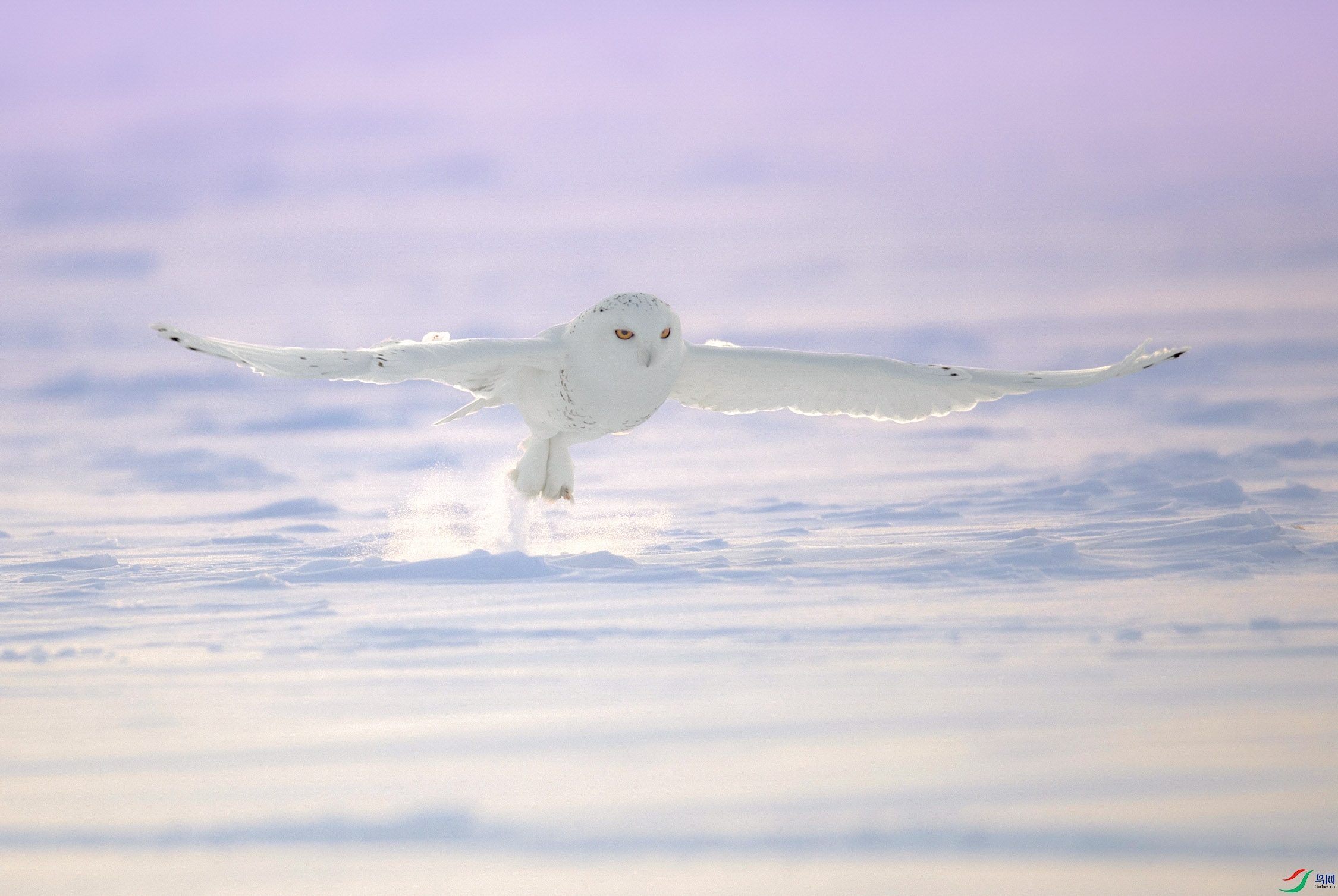 _DSC5953 ����.jpg