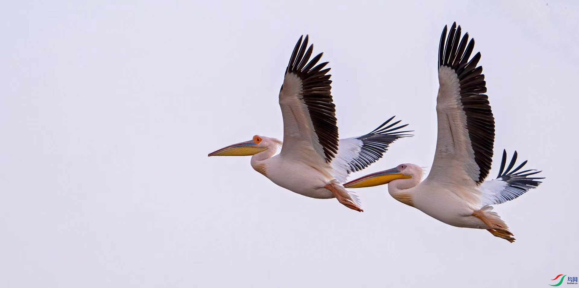 ������ (2).jpg