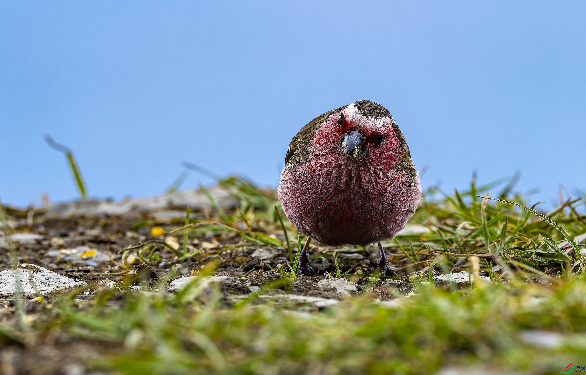 ��ü��ȸ�� (1)-1.jpg