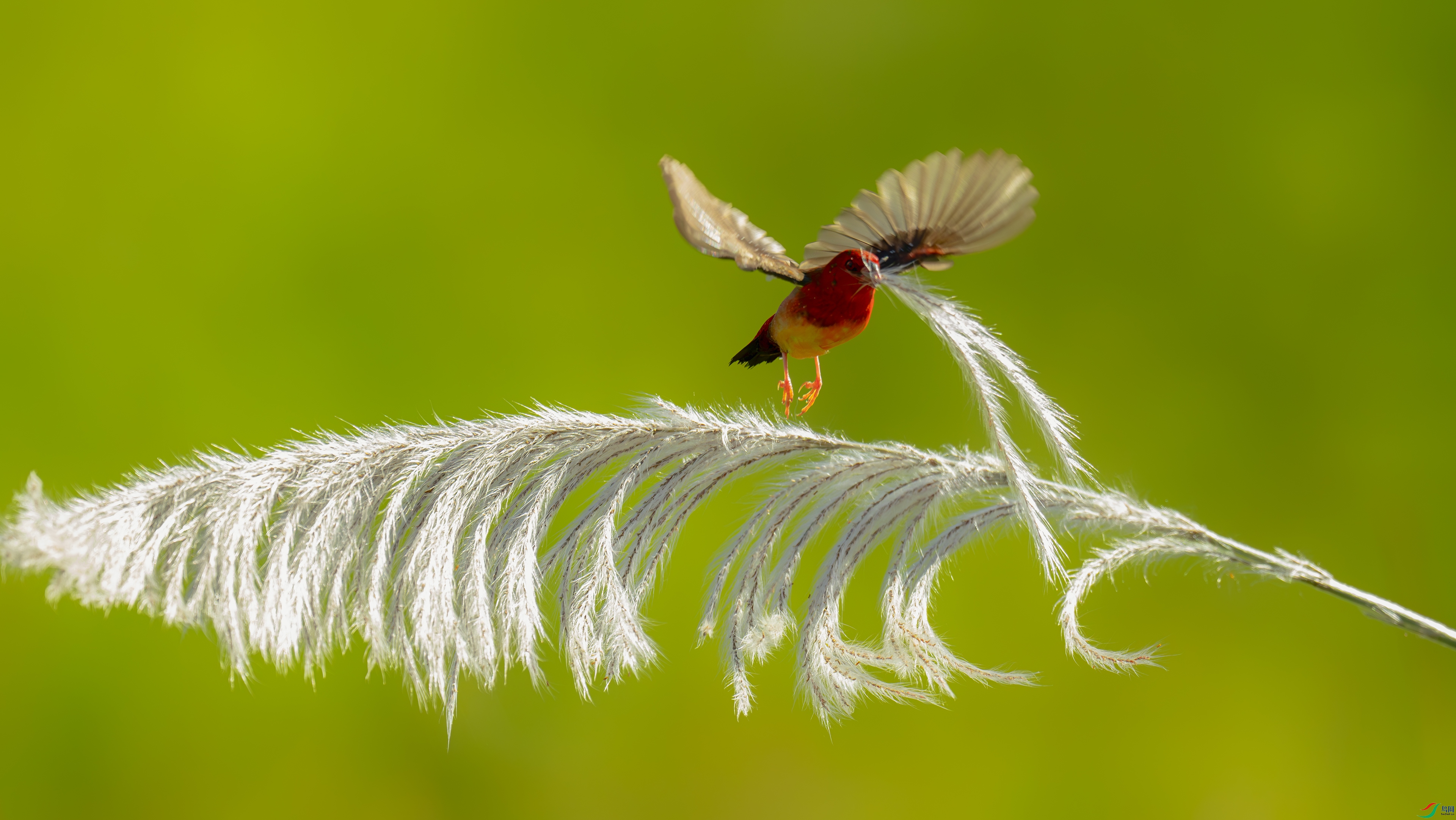 _DSC8977- ����1.jpg