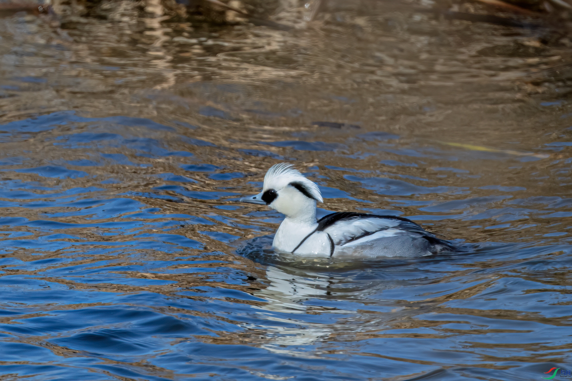 DSC_1806-11.jpg