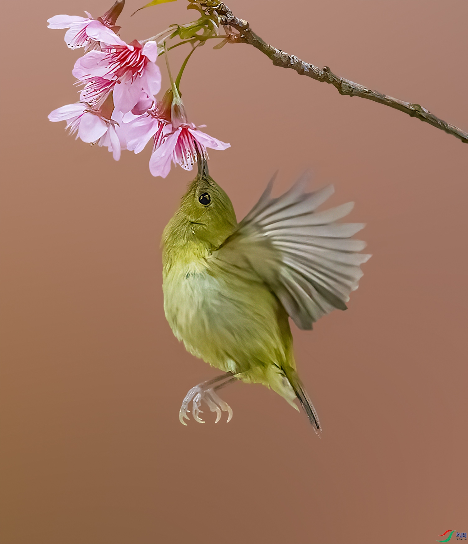 ���ۣ�