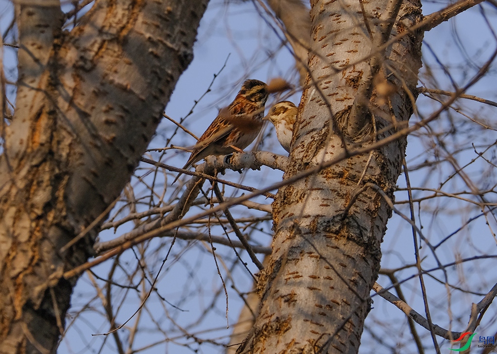 DSCF5735s.jpg
