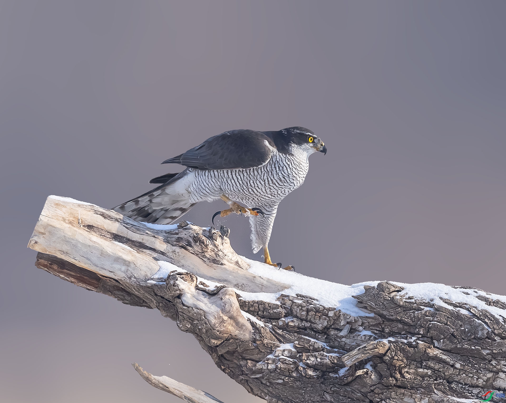 019A3383 ����.jpg