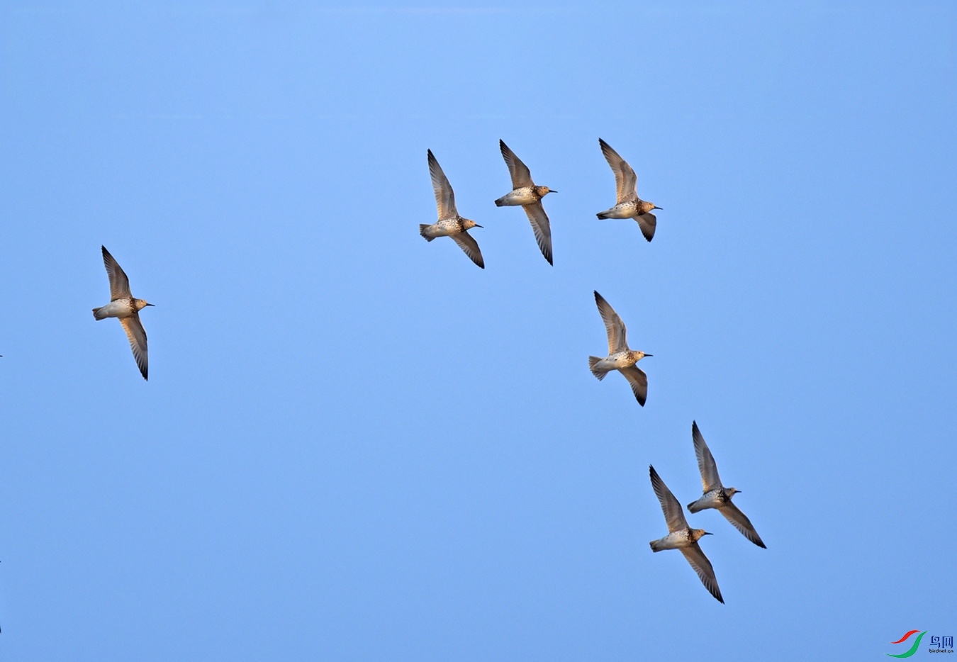 DSC_5784 2.jpg