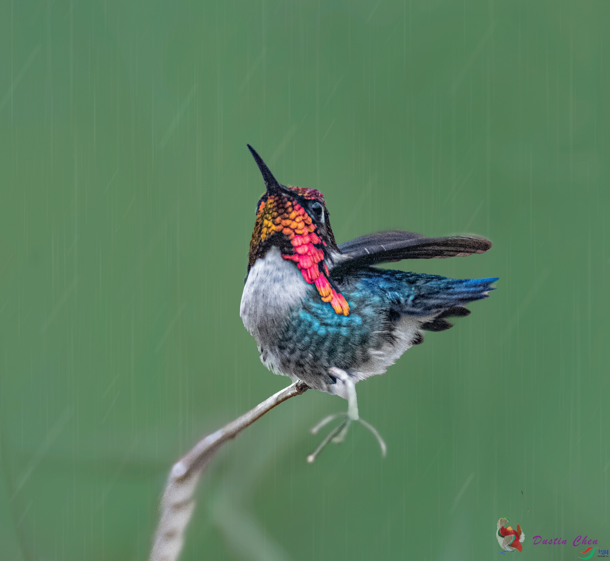 �Ű����۷���