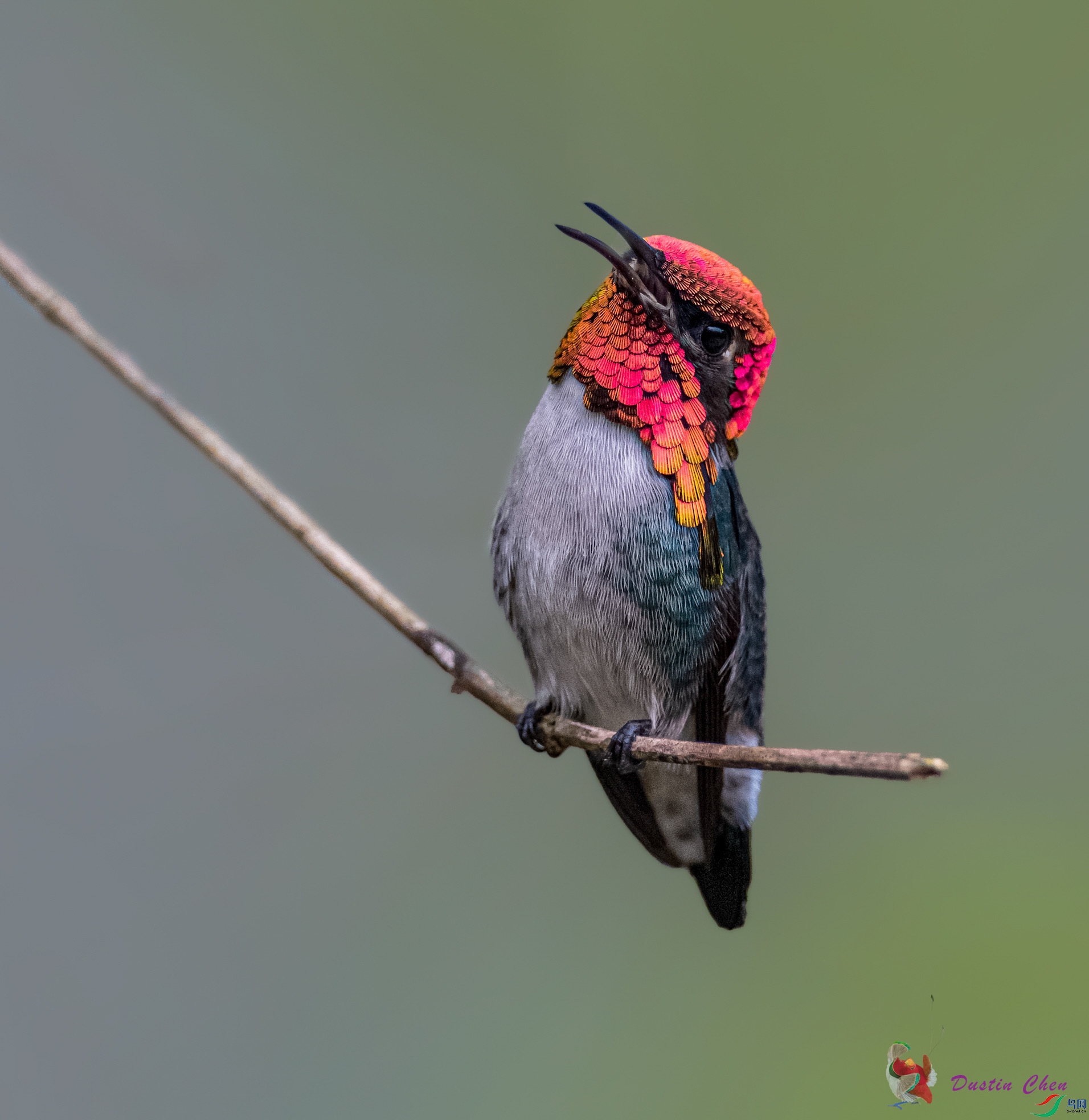 �Ű����۷���