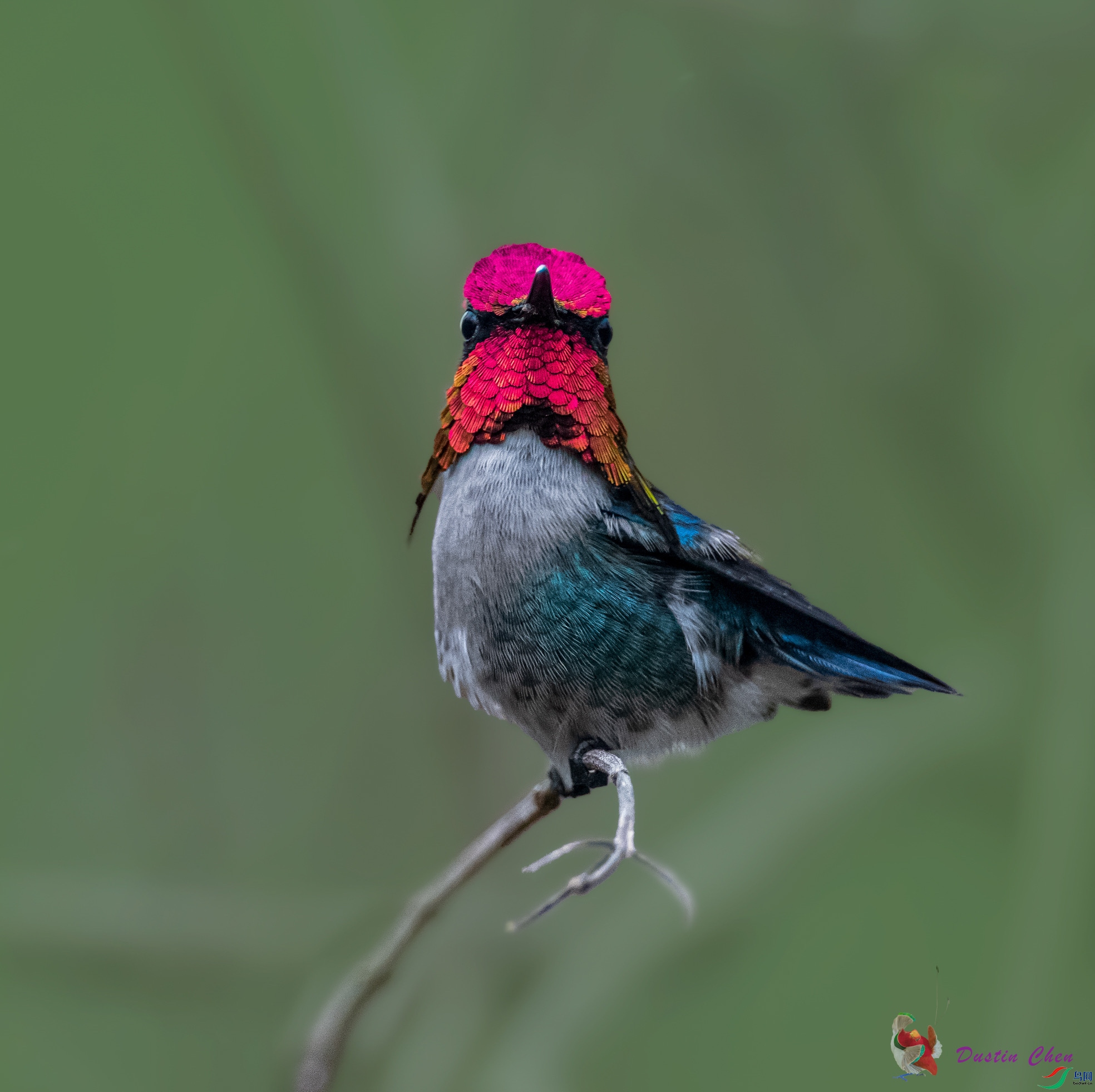 �Ű����۷���