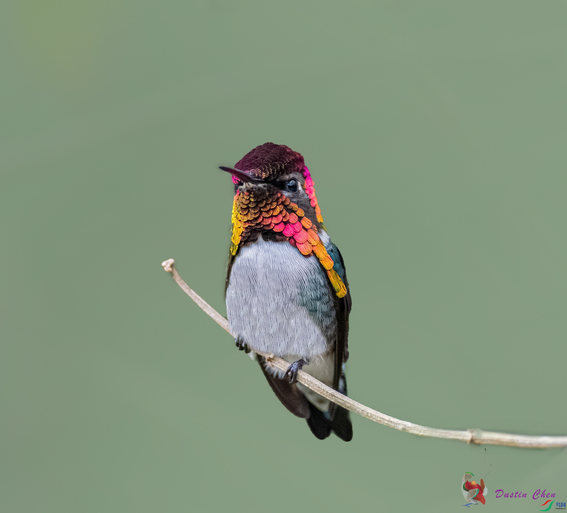 �Ű����۷���